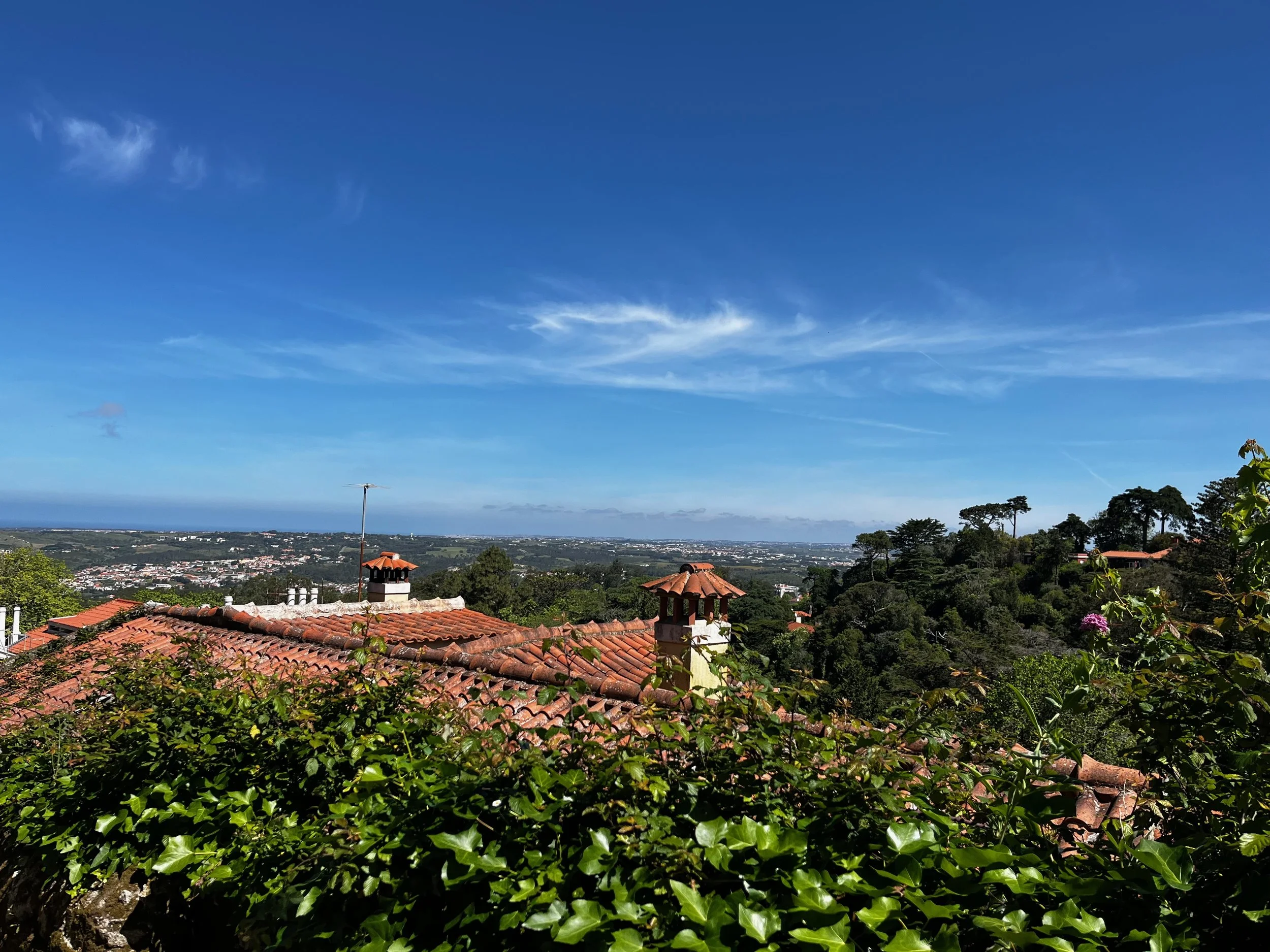 A scenic view of rooftops with red tiles, surrounded by greenery, under a bright blue sky with wispy clouds.