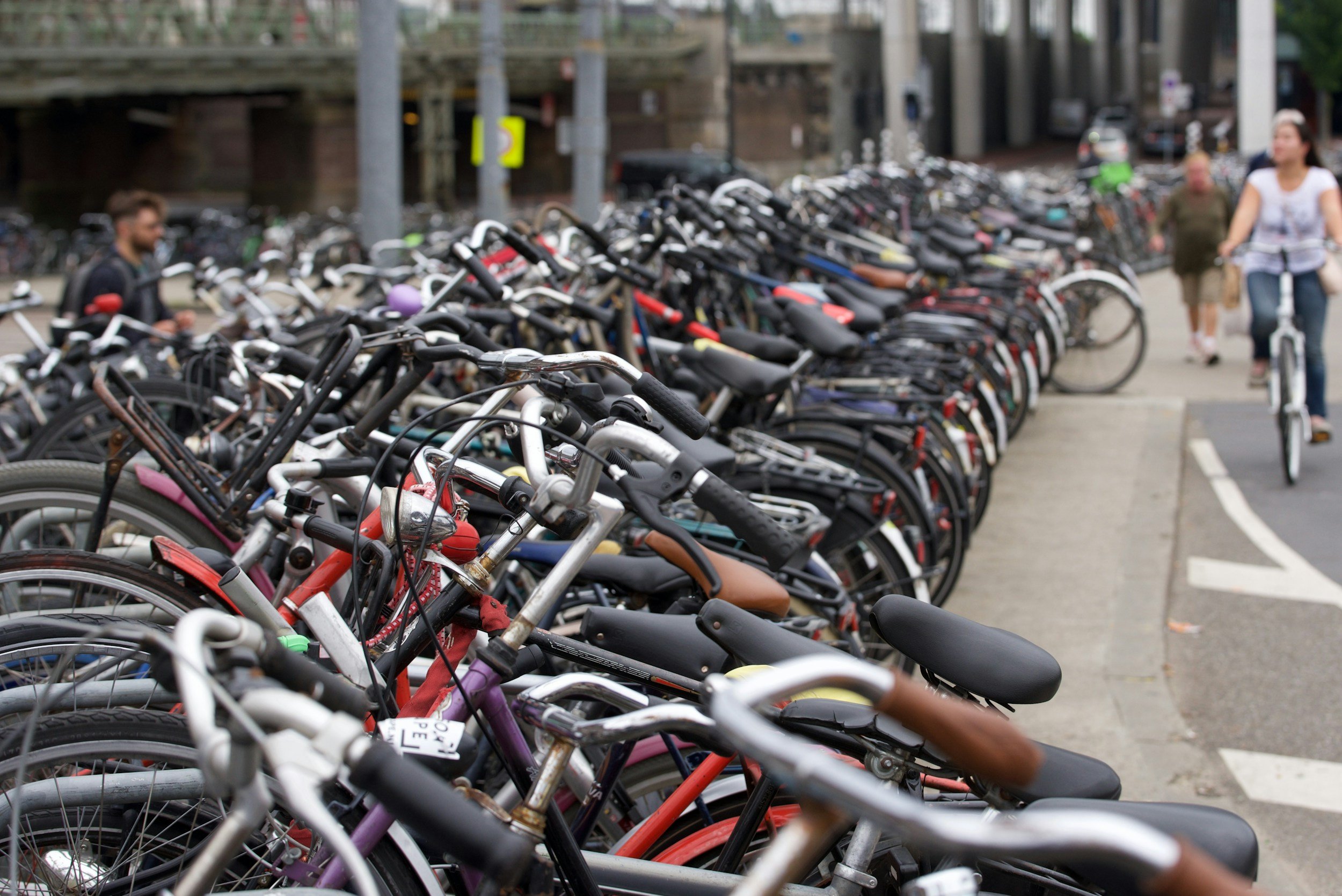 Rows of bicycles parked along a bike lane in Amsterdam