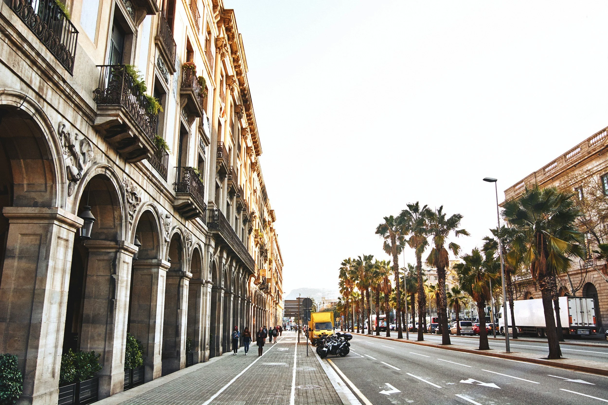 Barcelona Spain palm-lined city street