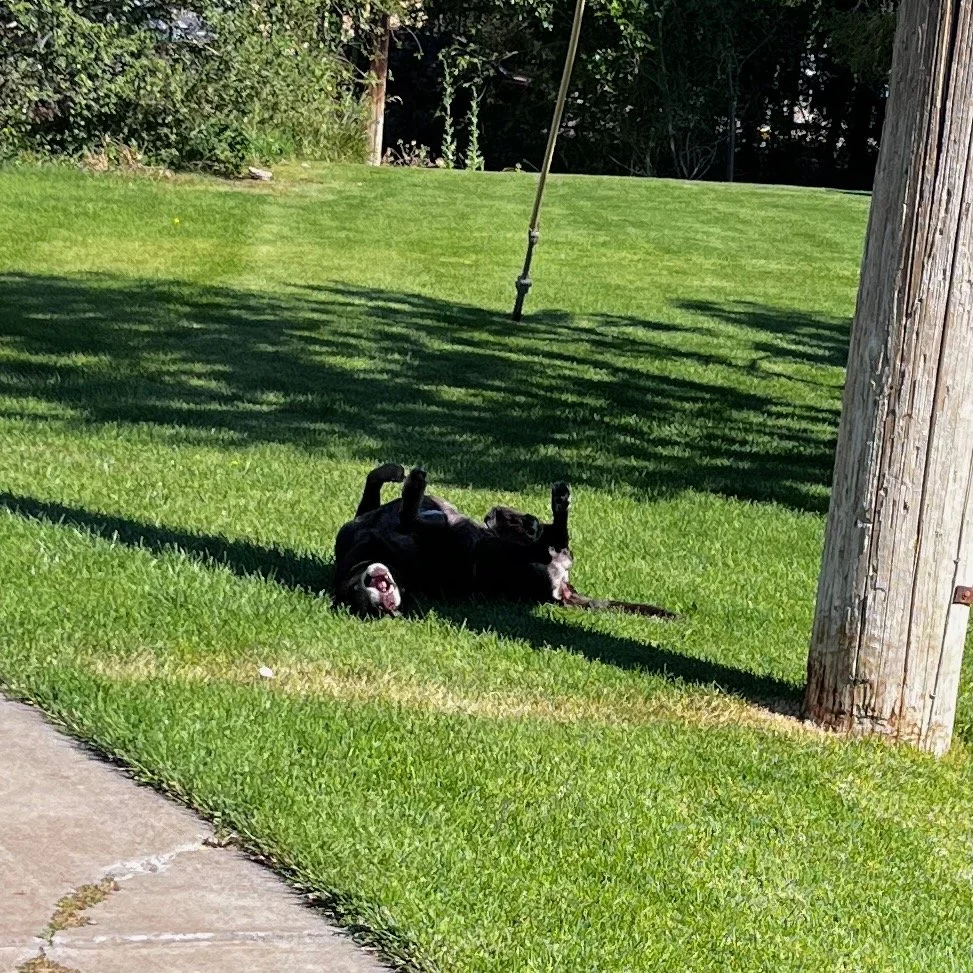 Rolling is the Best