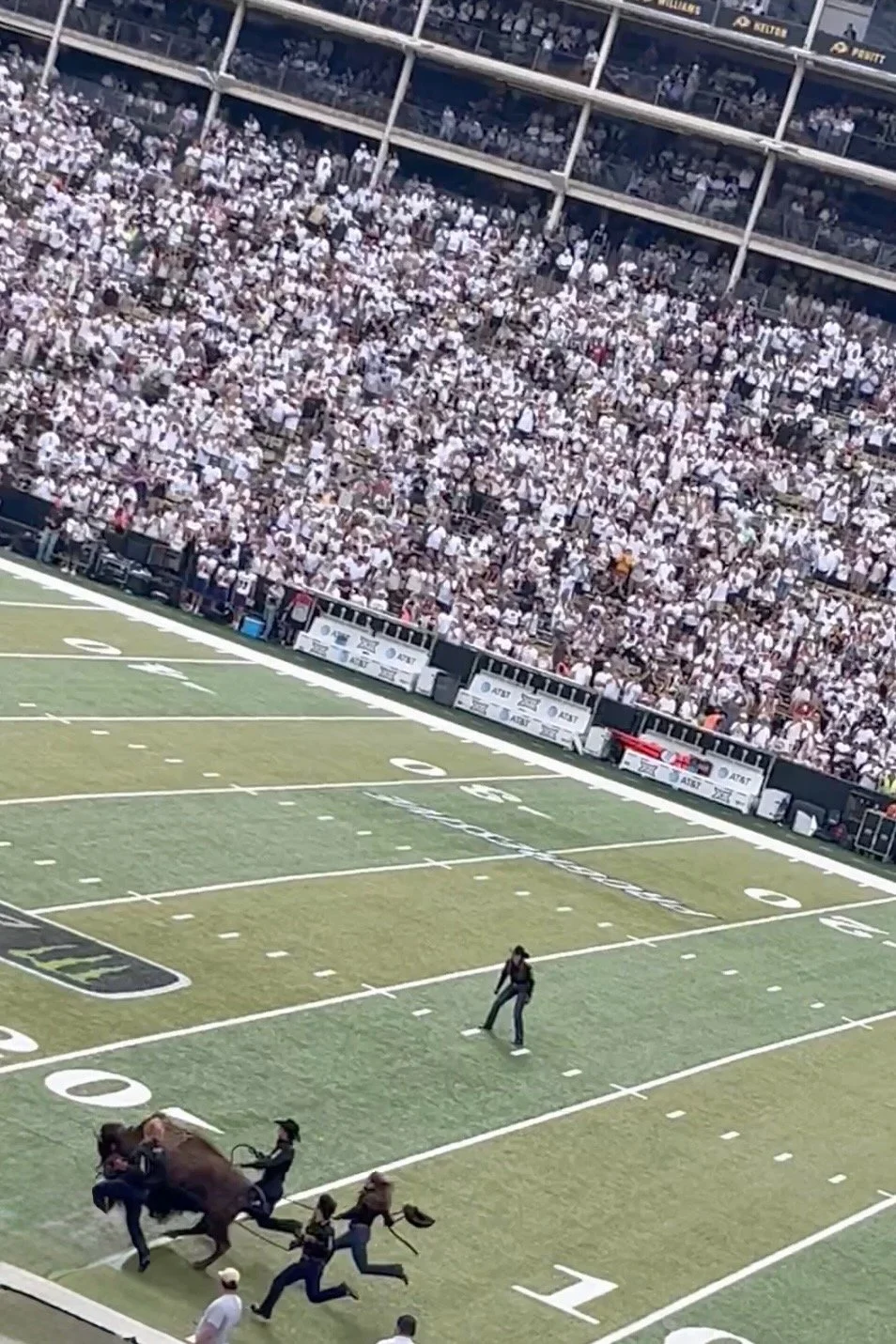Coming Home and Folsom Field: A Day Steeped in Fall Memories