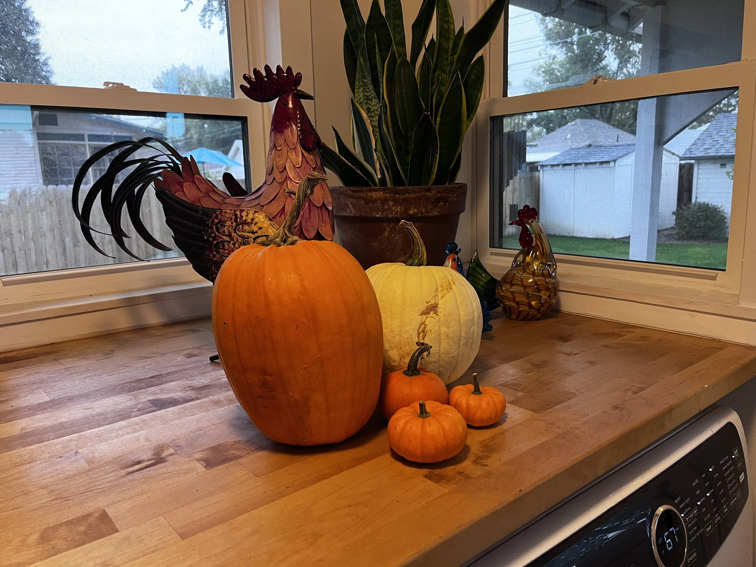 What do you do with five pumpkins?