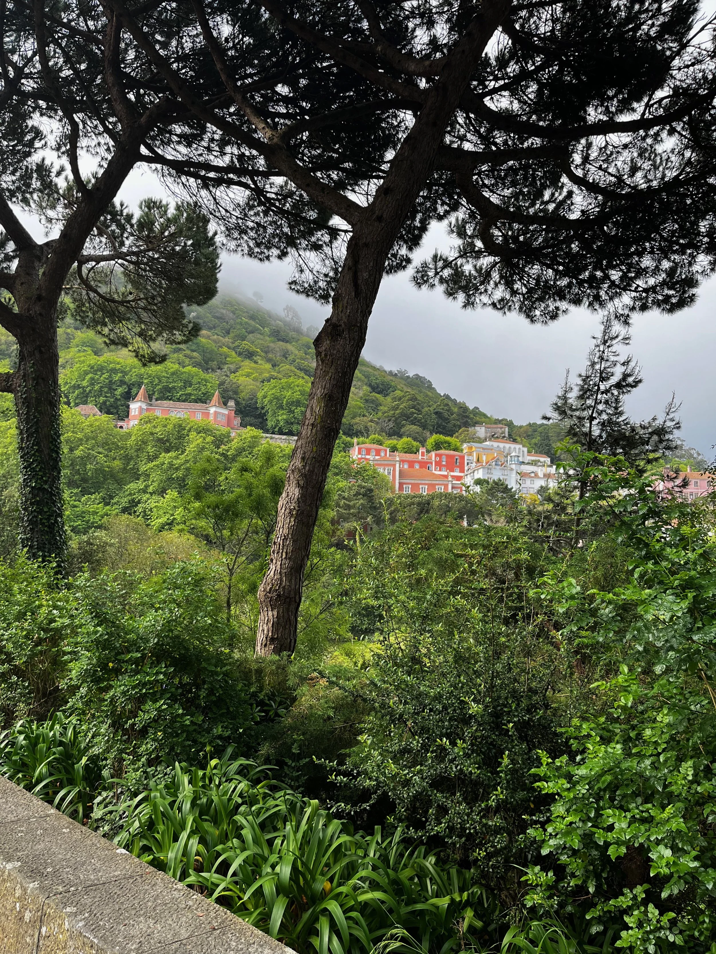 View of colorful buildings and forested hills during a hike in Serra de Sintra, Portugal