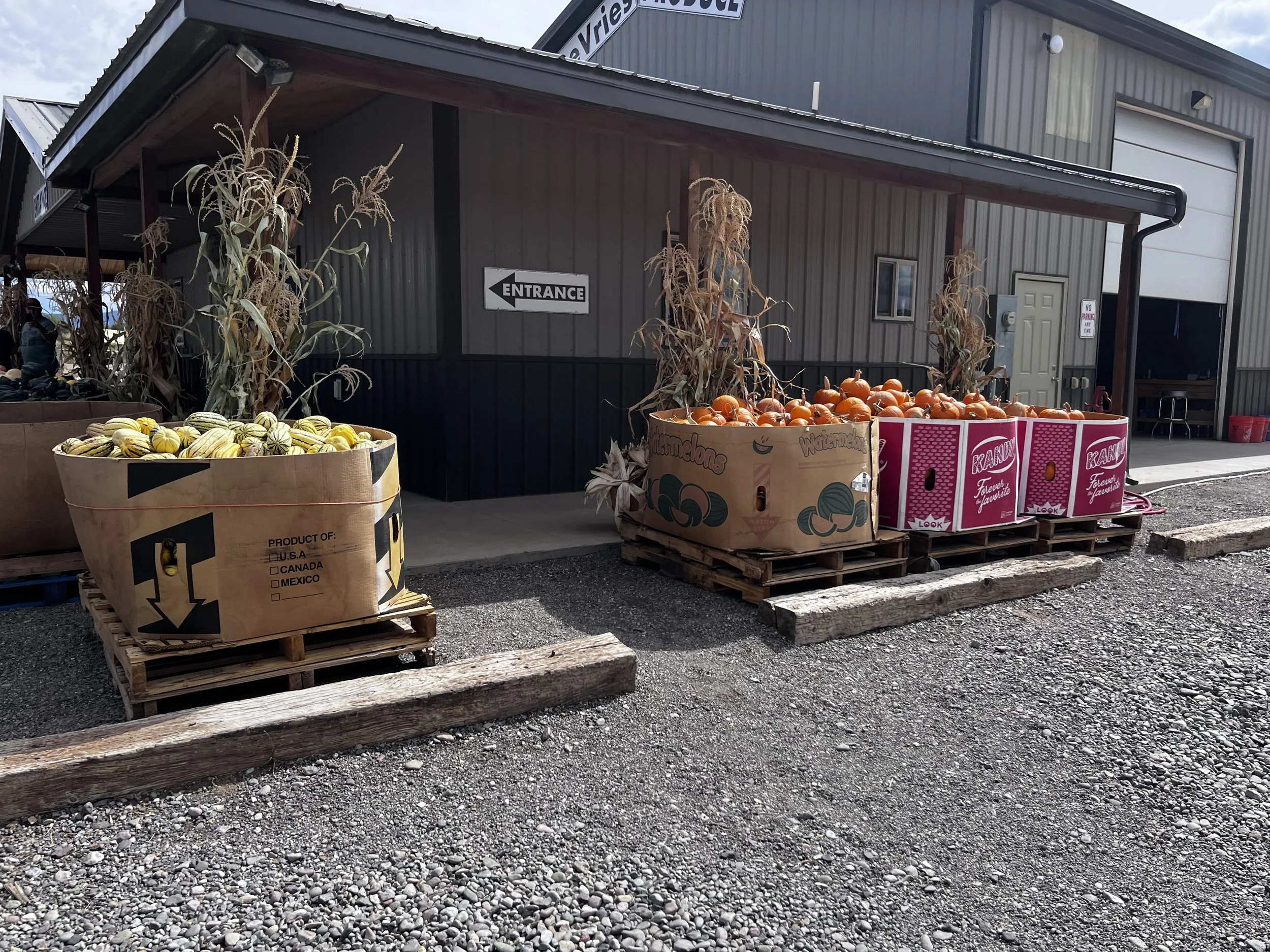 Bins of orange pumpkins and striped squash outside DeVries’ produce stand.