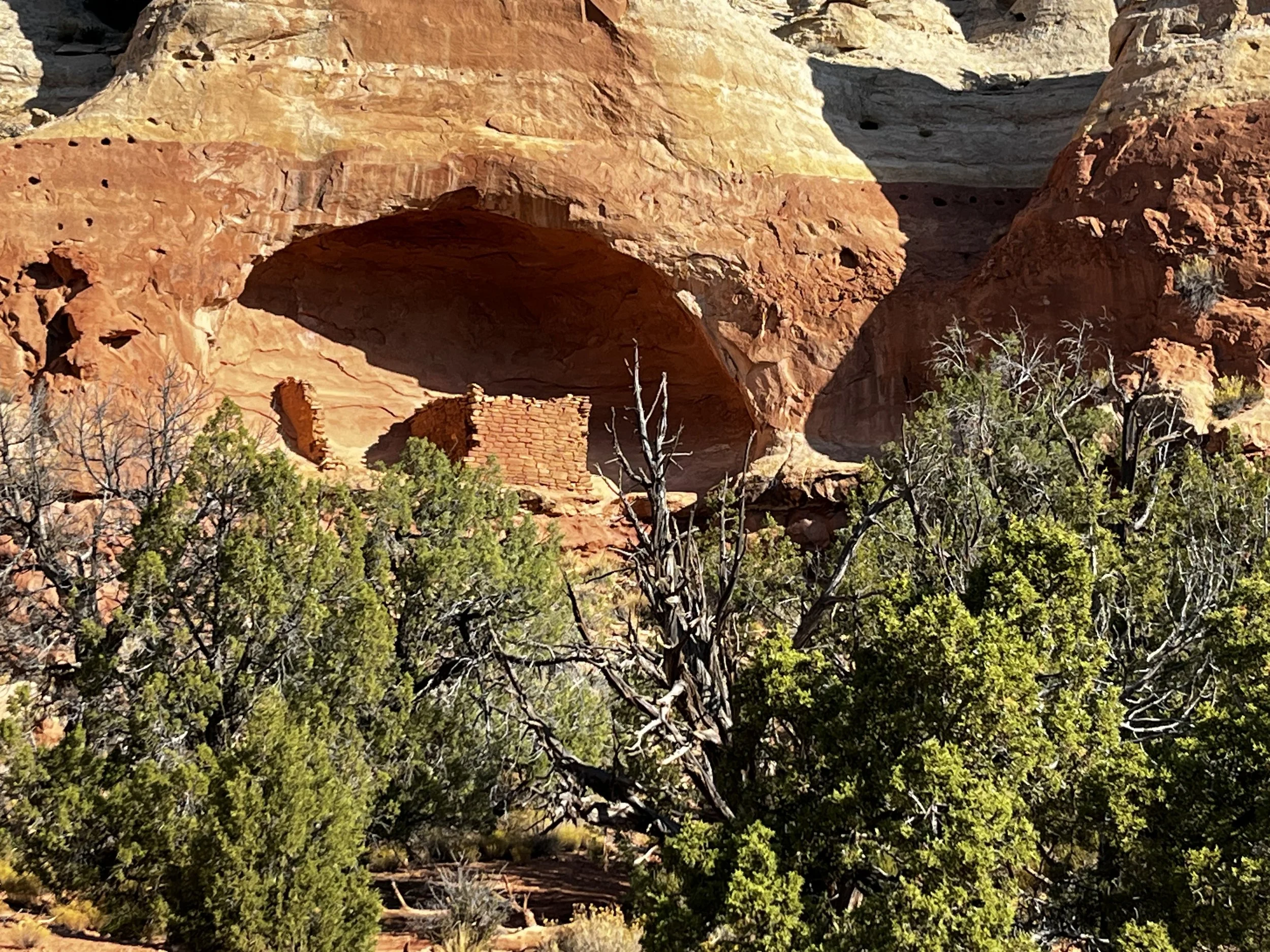 Canyons of the Ancients, Montezuma County.