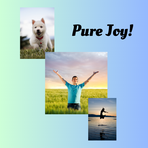 Collage of three images: a happy puppy, a person in a field at sunrise with arms raised, and a person jumping into the water at sunset, with the text 'Pure Joy!'