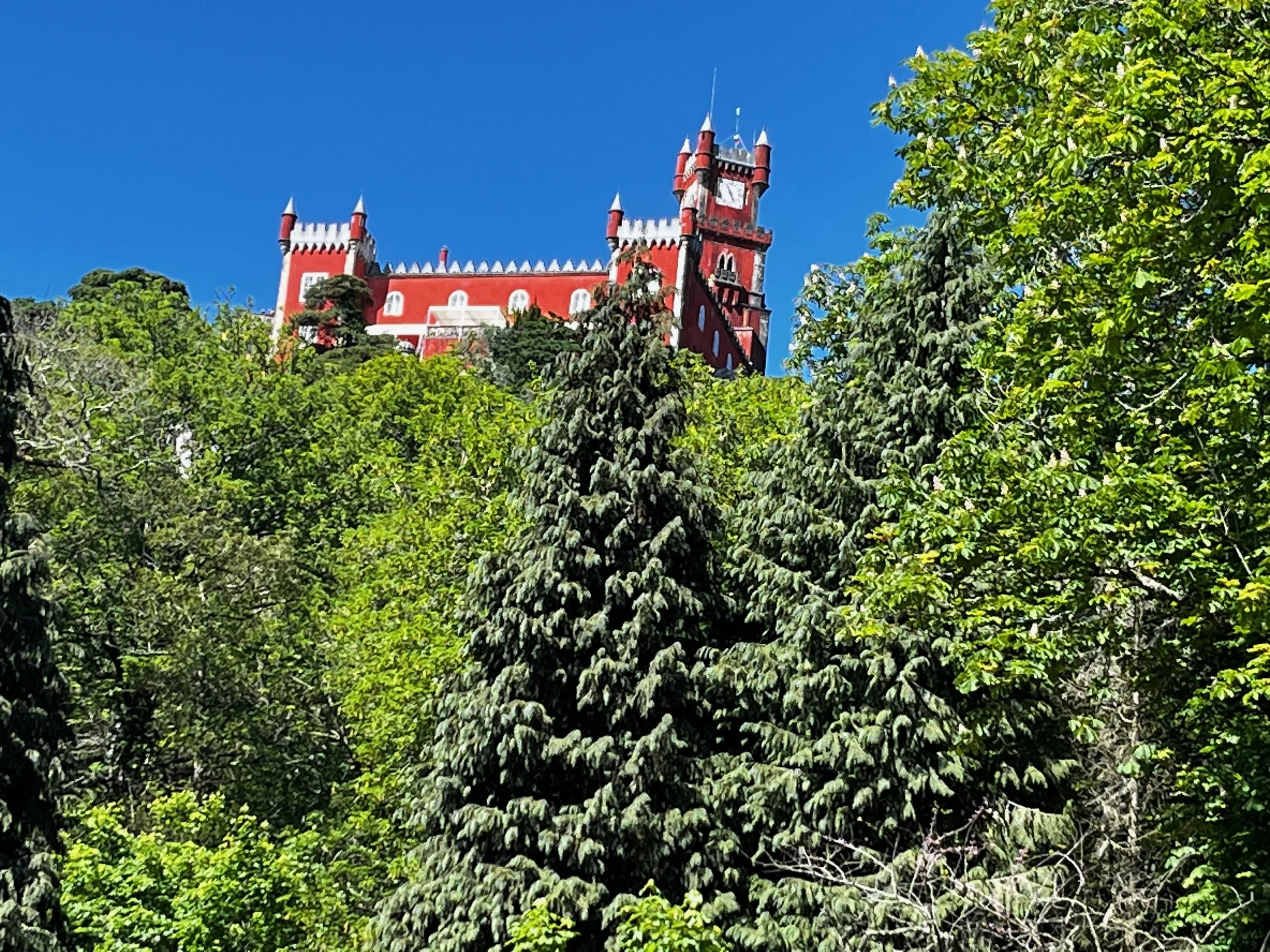 A red castle with towers and turrets partially visible behind lush green trees, under a clear blue sky.