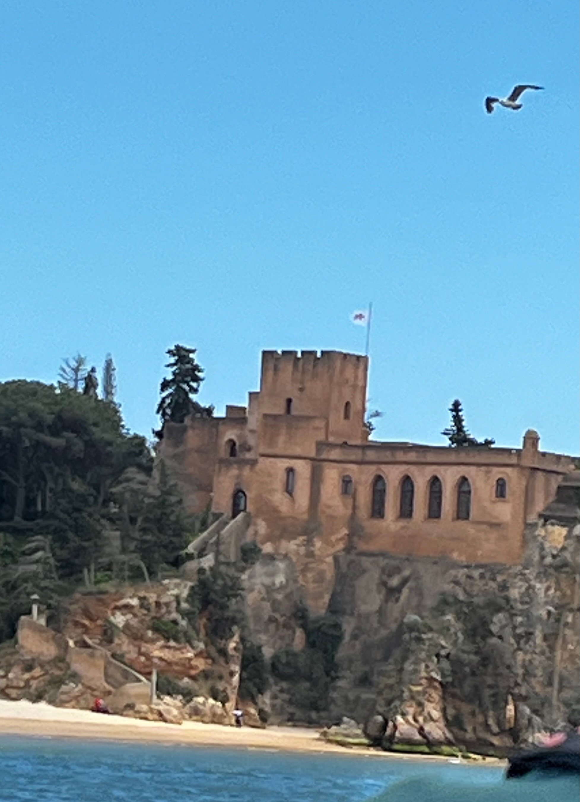 A castle on a rocky hill overlooking the water with a seagull flying in the sky.
