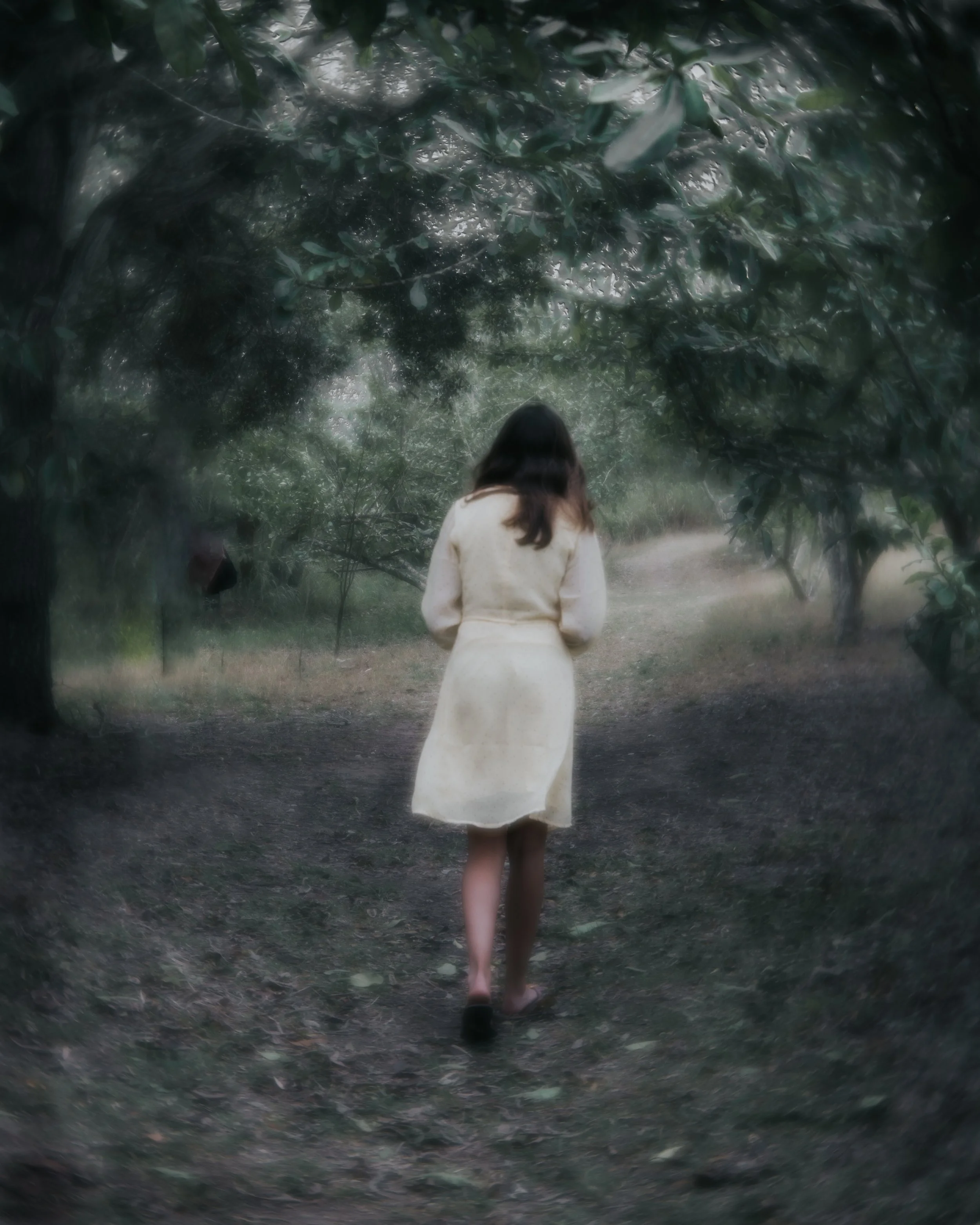 Lyrical Photograph at Wild Rice Retreats
