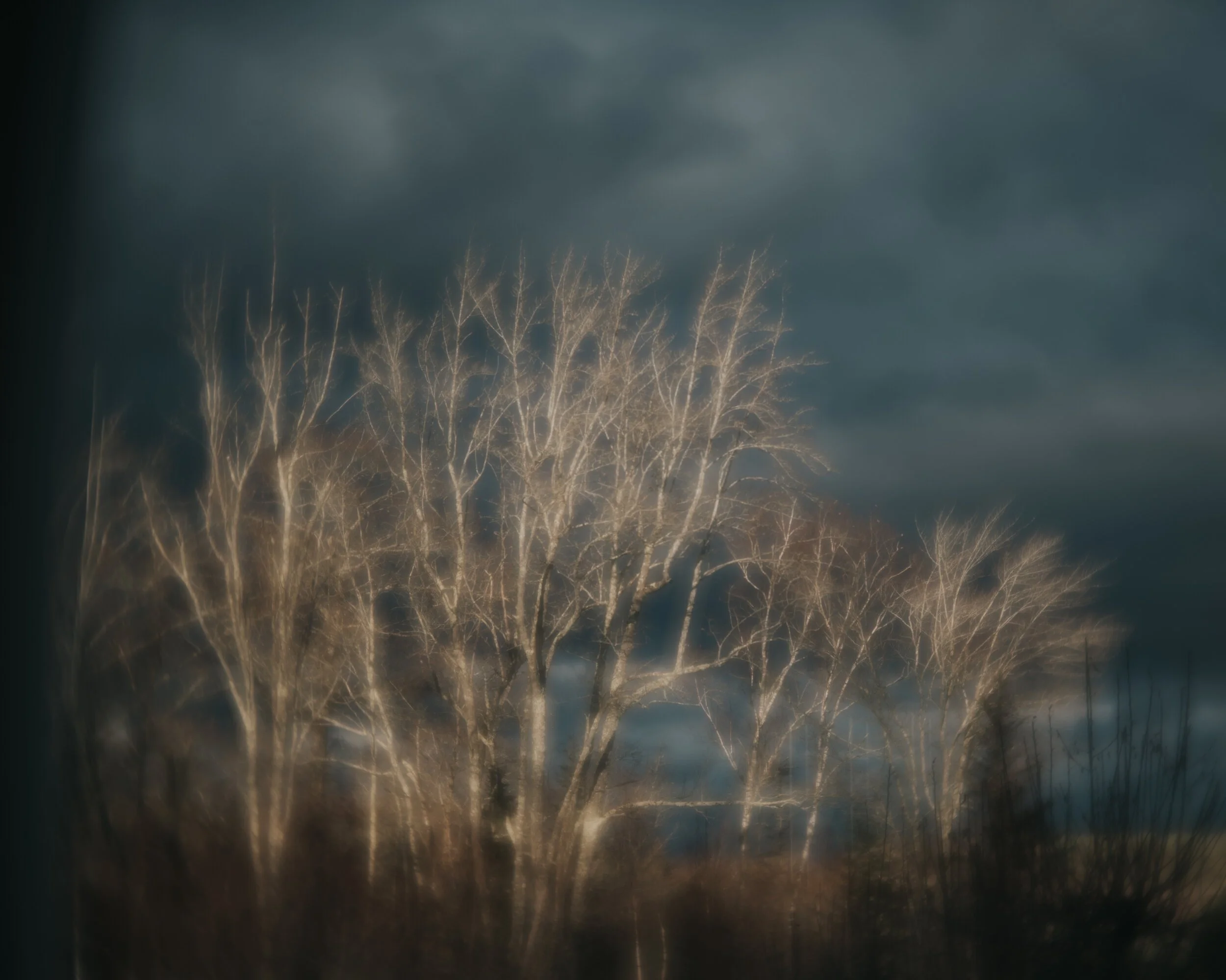 A Gift for Evening