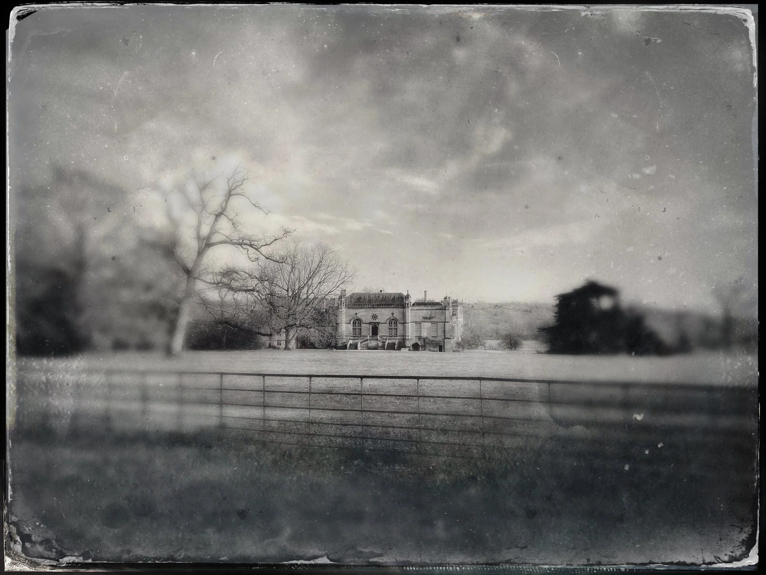 Upcoming Exhibitions for the Year Ahead