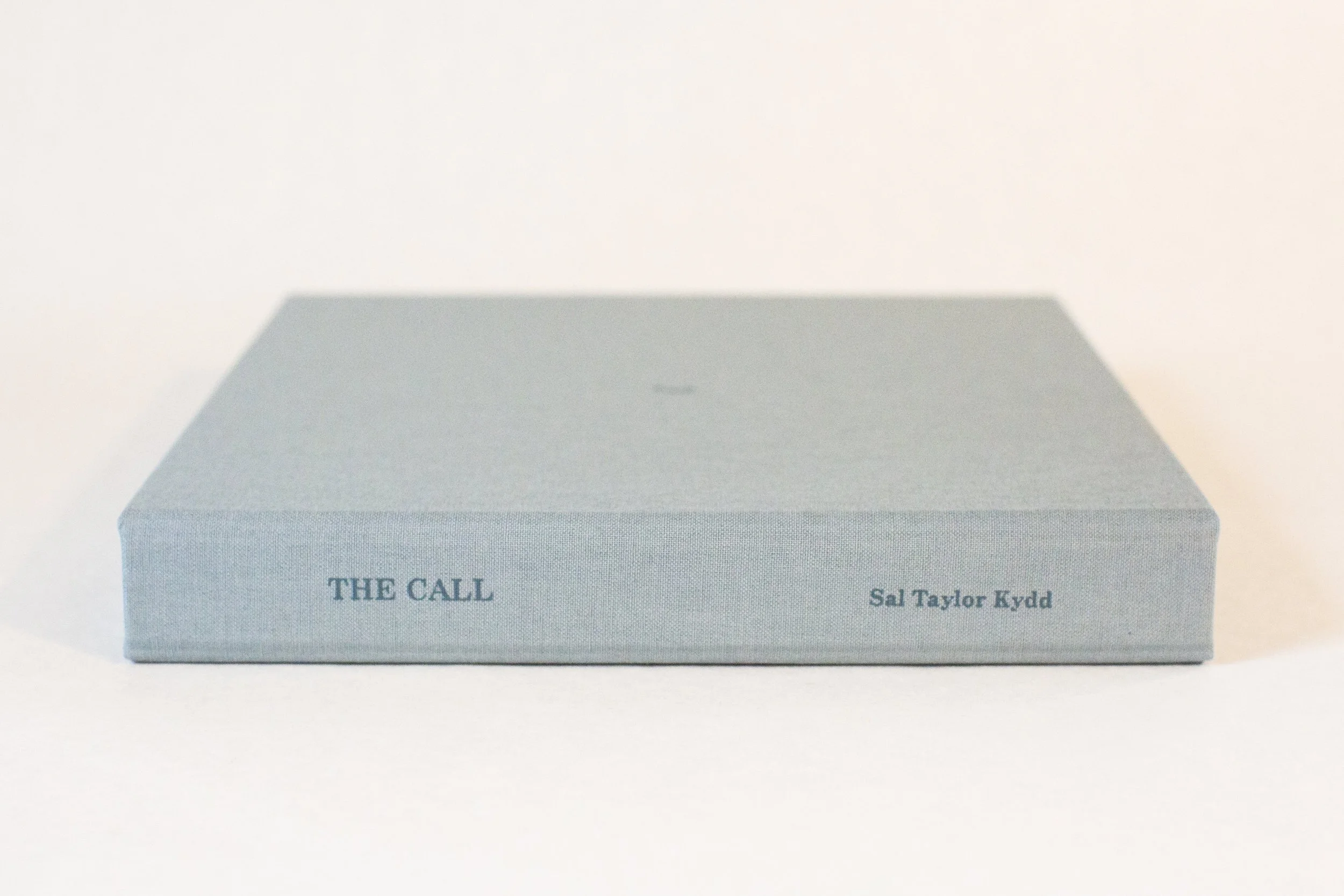 thecall_3_.jpg