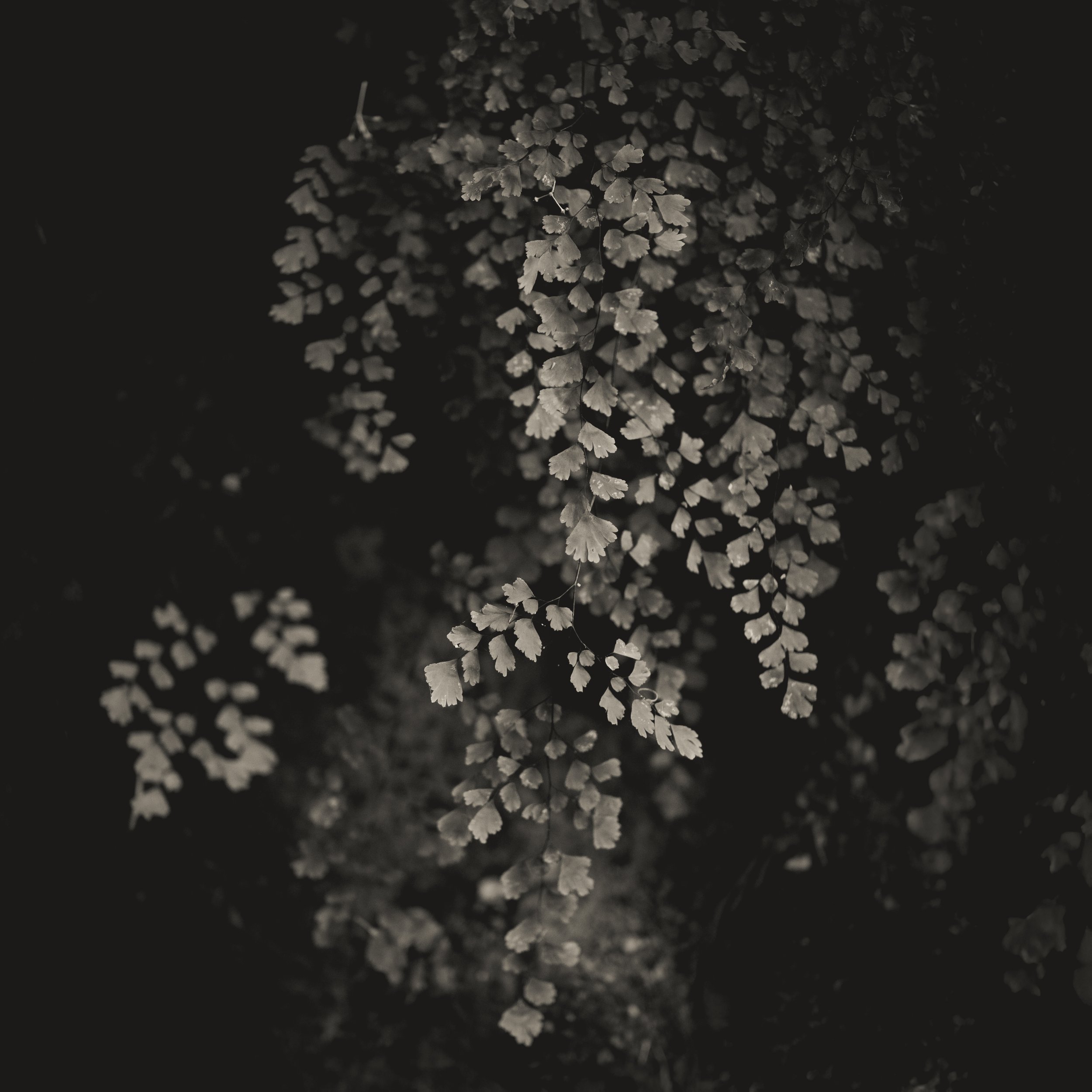 In Darkness.jpg