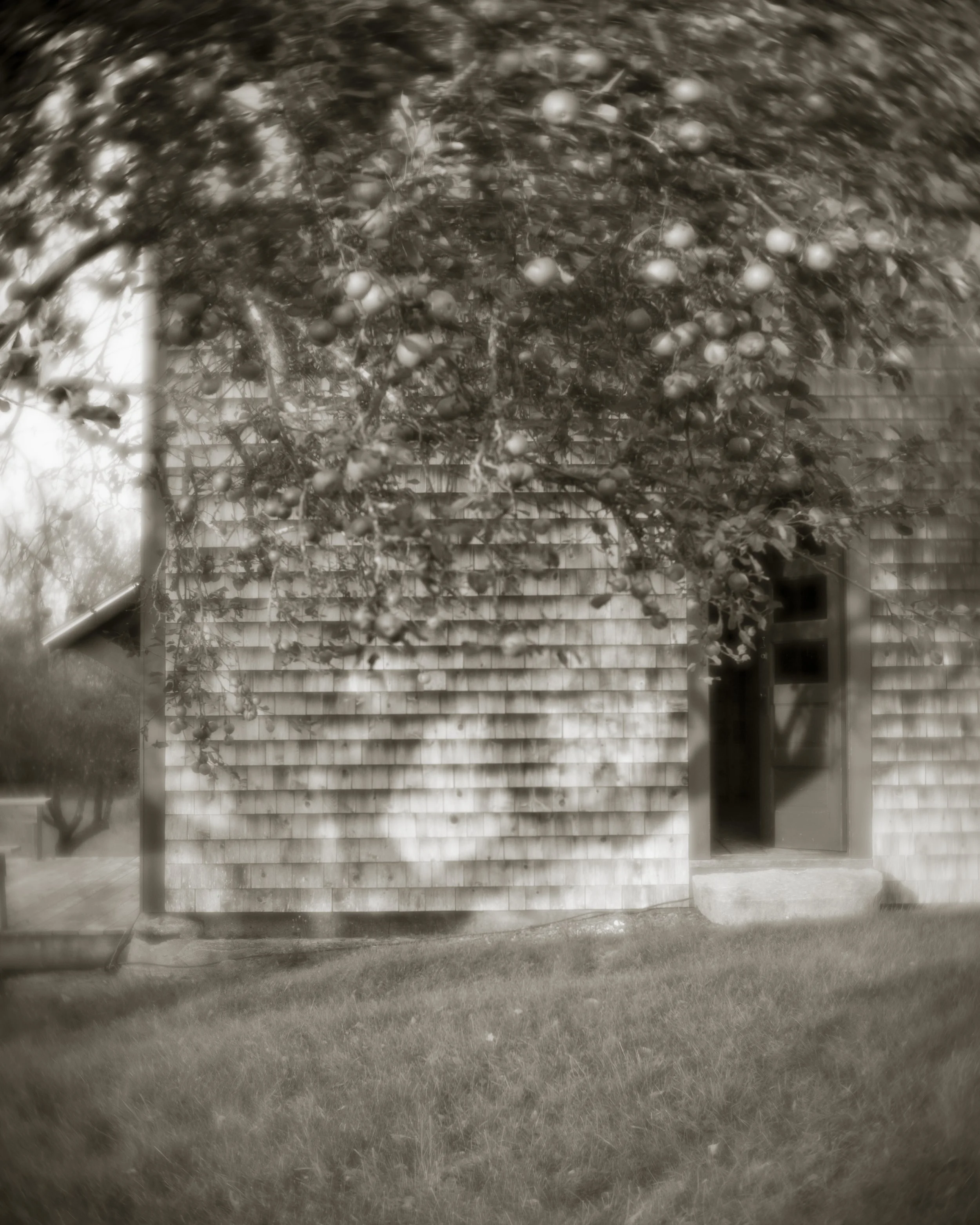 Apples over the Barn.jpg