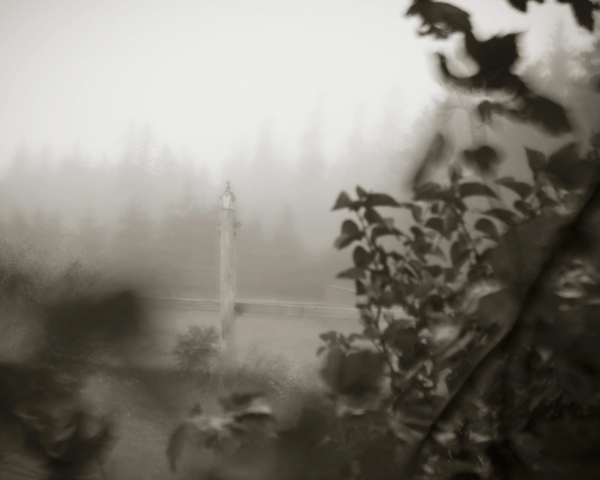 Birdhouse at the Farm.jpg
