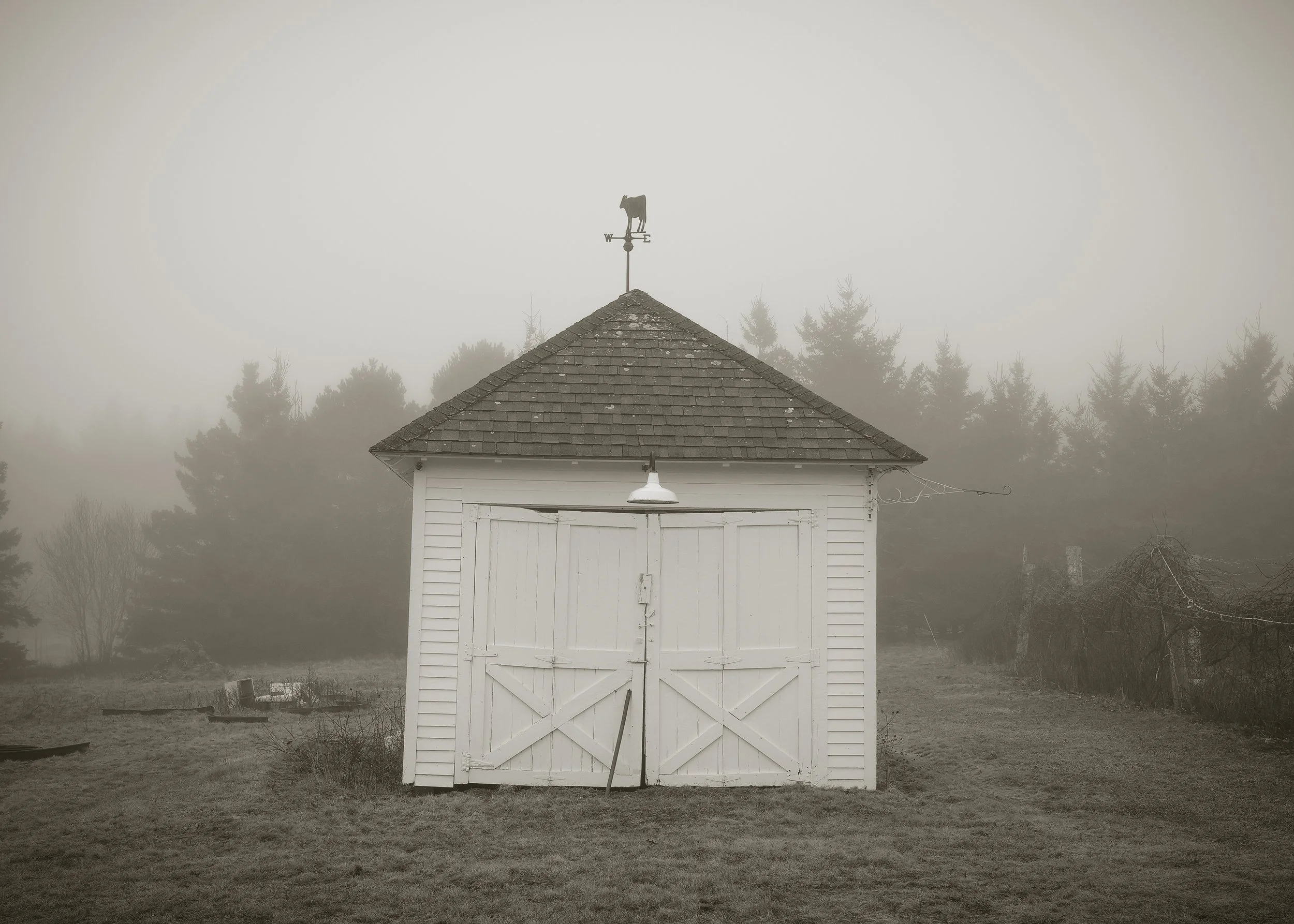 Farm Morning.jpg