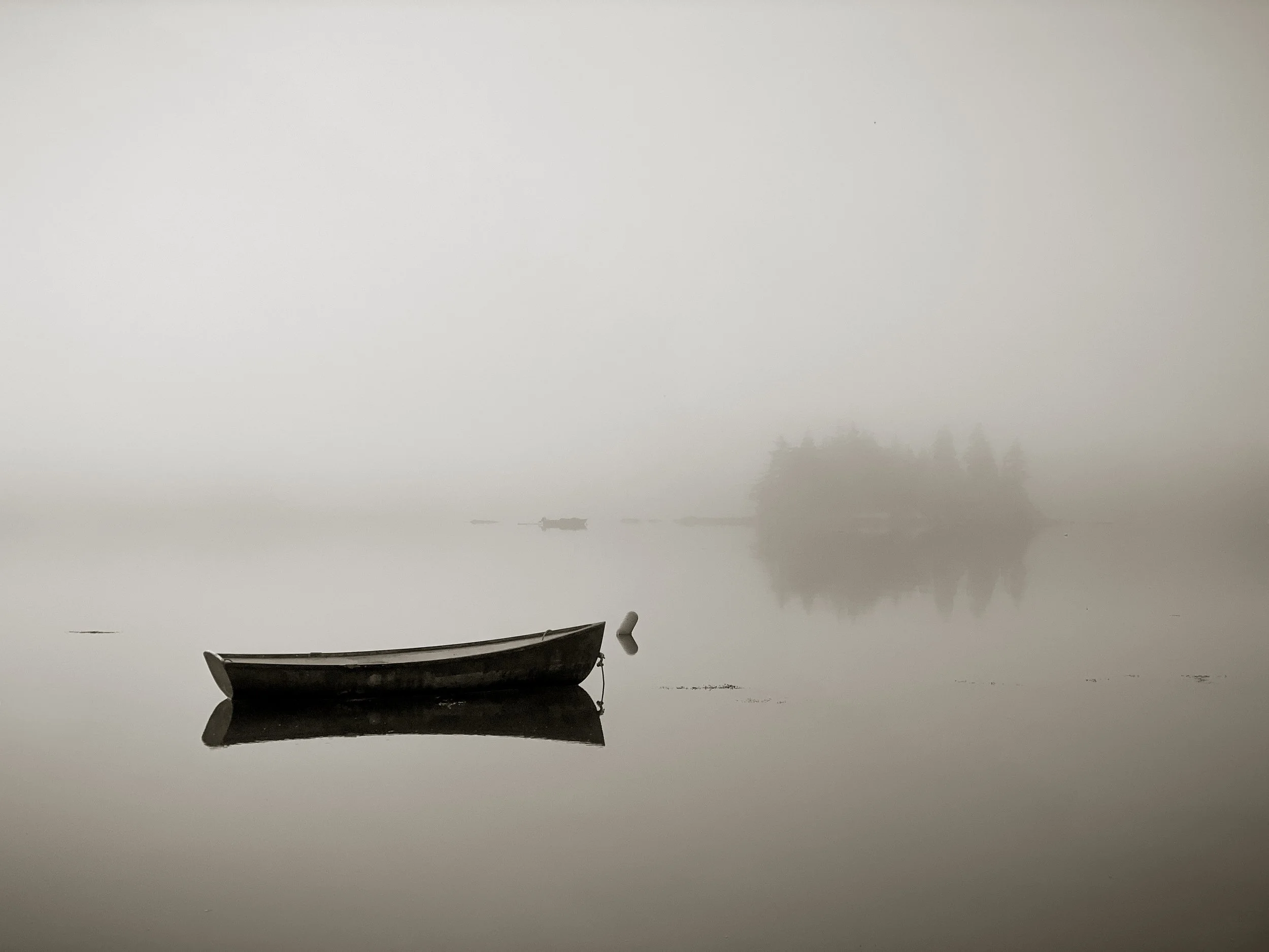 Misty Morning at Mariners.jpg