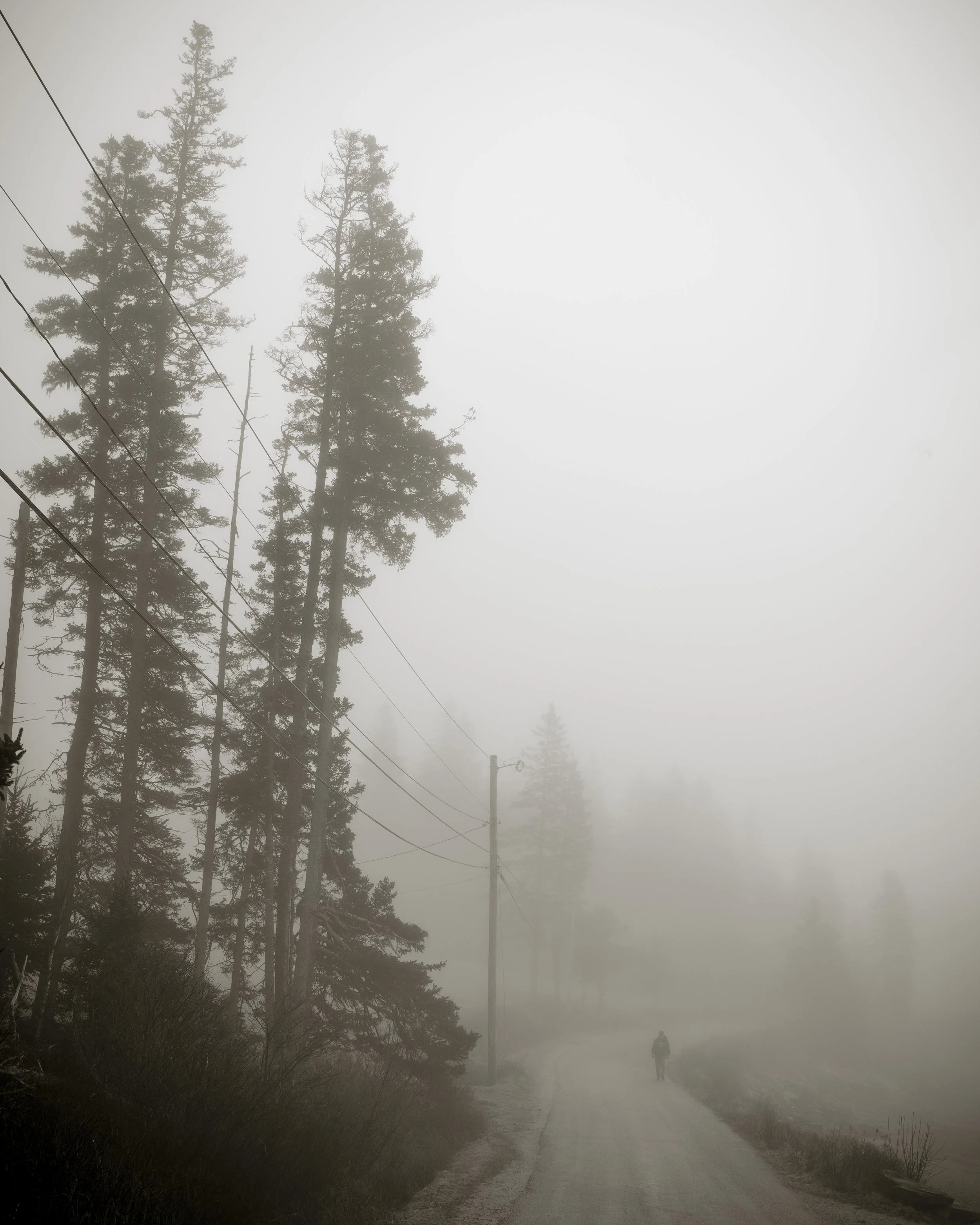 The Long Walk Home.jpg