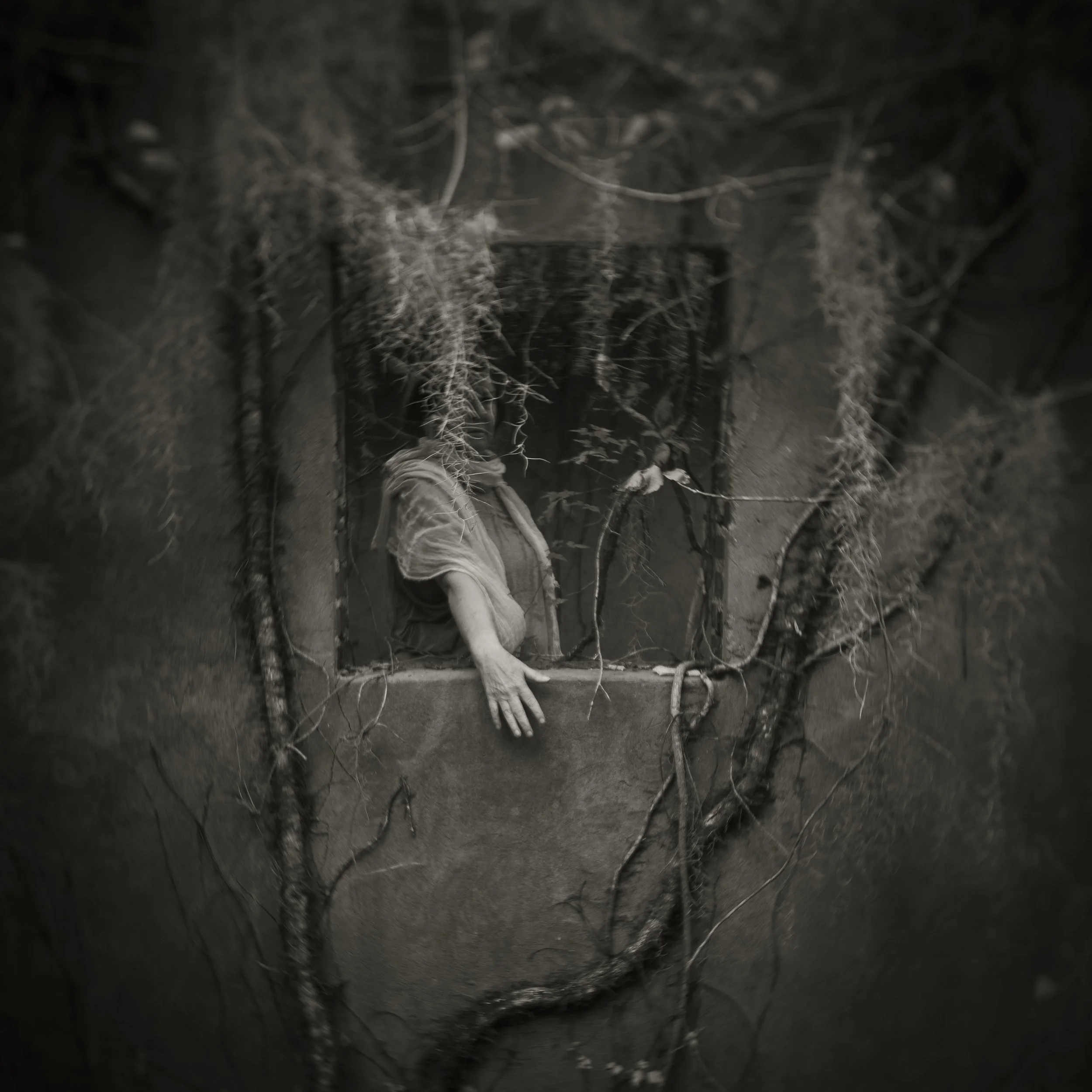 Anne in the Window.jpg