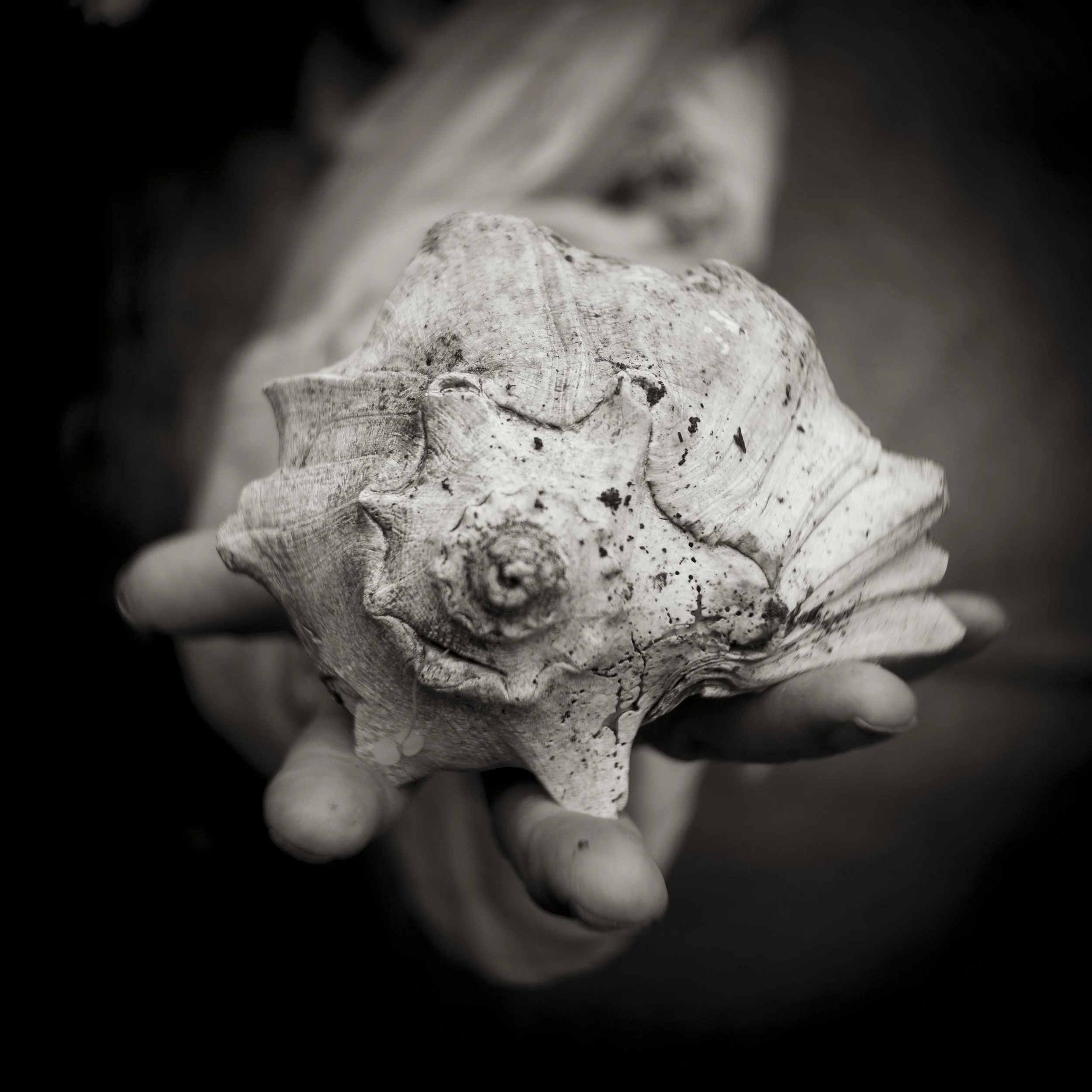 Beauty in Strange Things.jpg