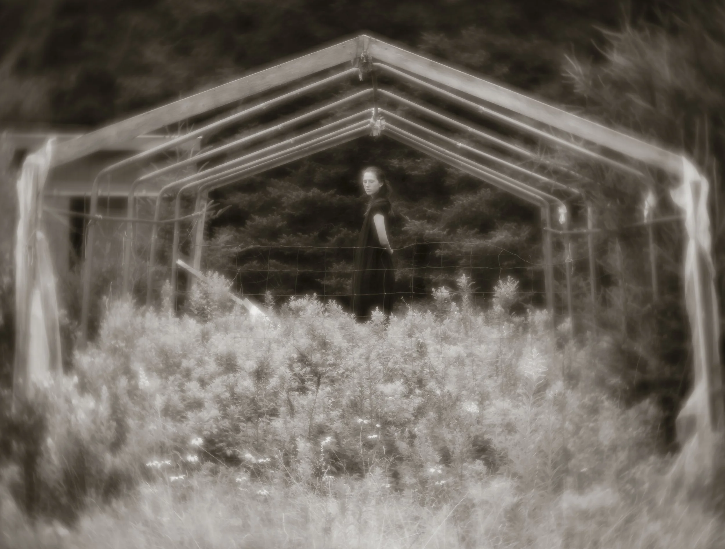 Once a Greenhouse.jpg