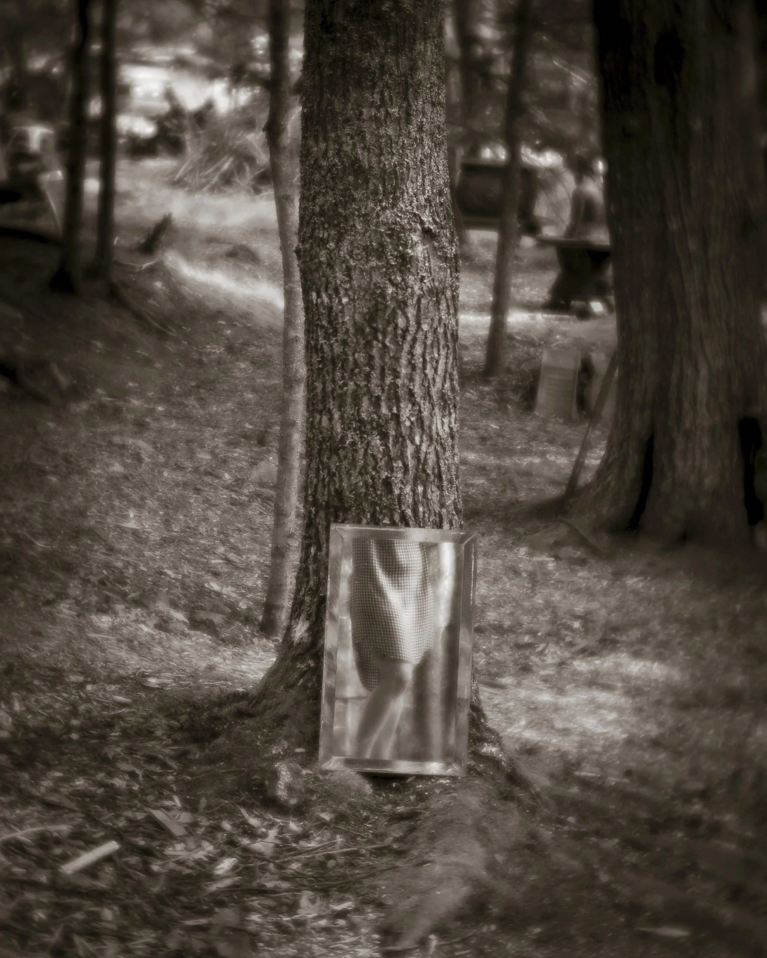 Reflection at Nellies.jpg