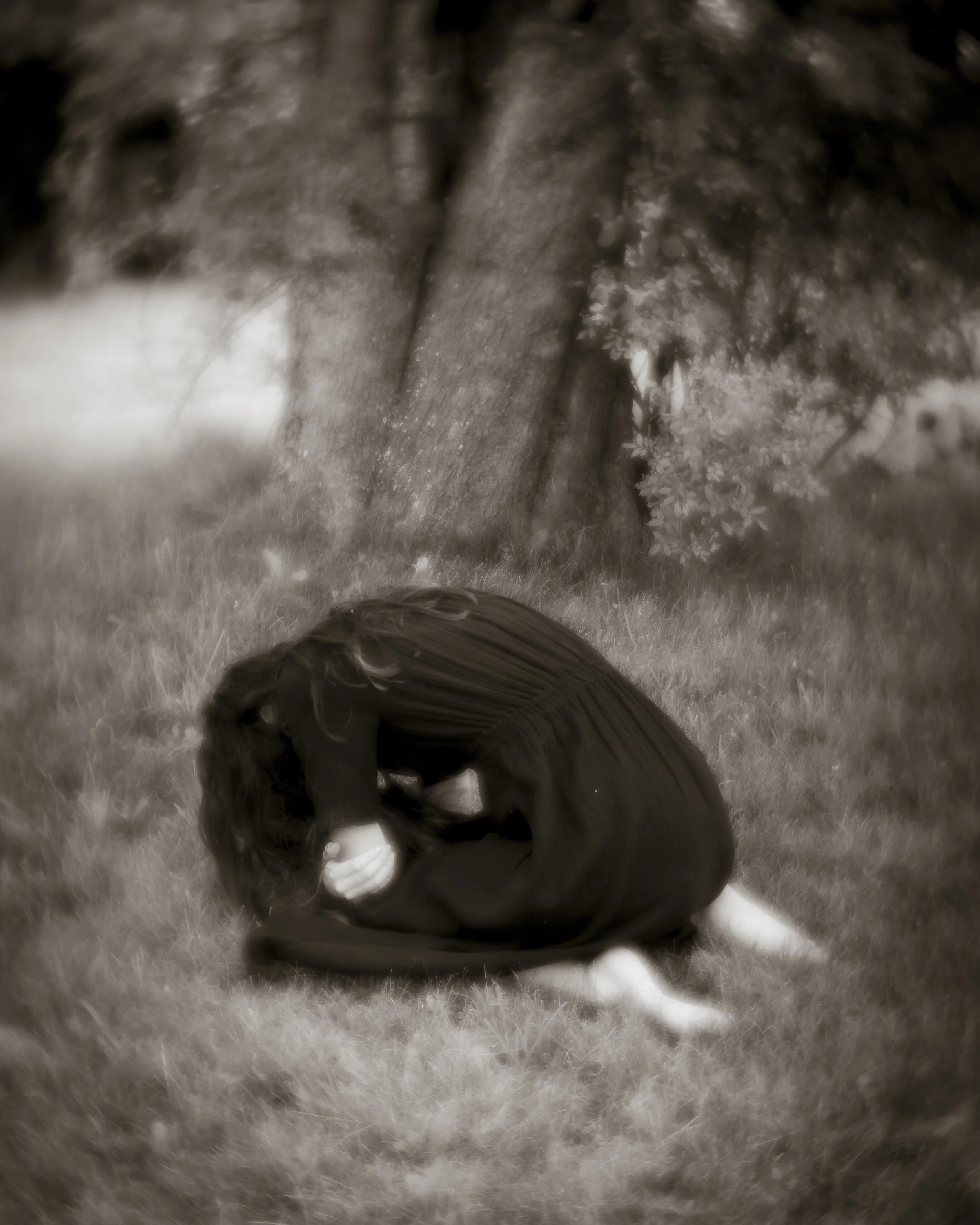 Solace.jpg