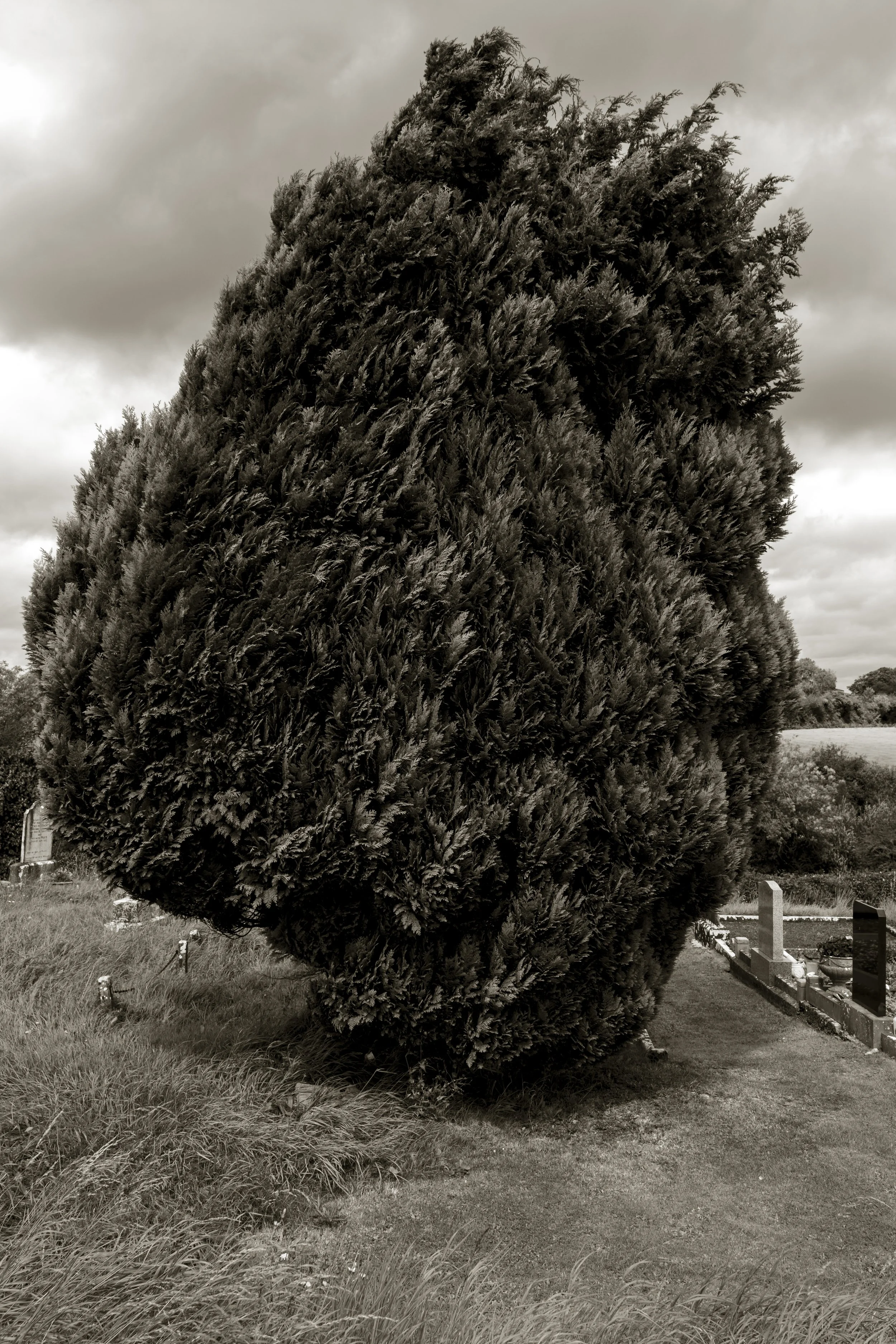 Loughill.jpg