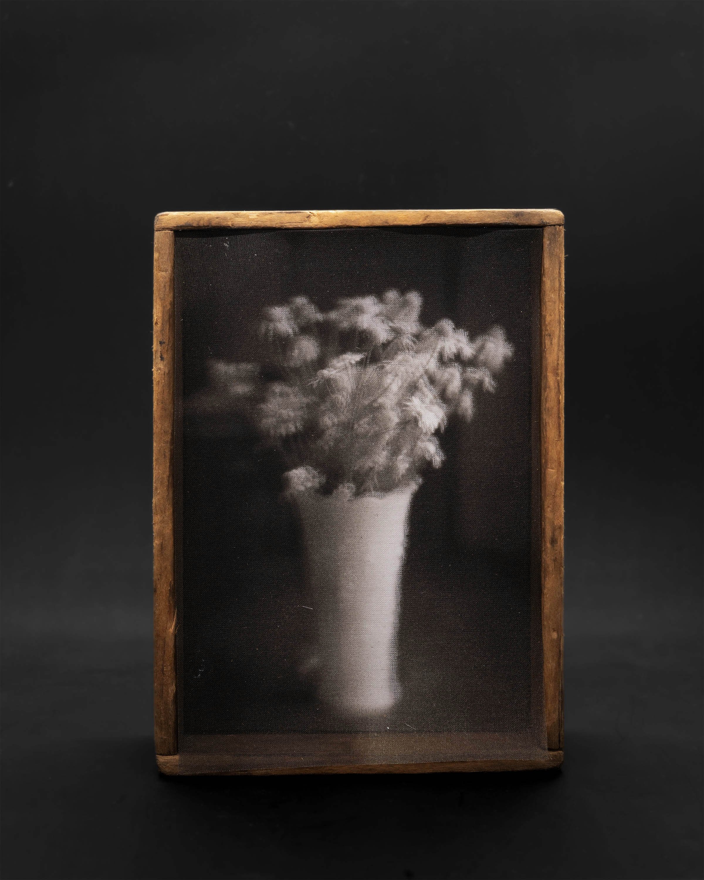 Still Life at Page Gallery