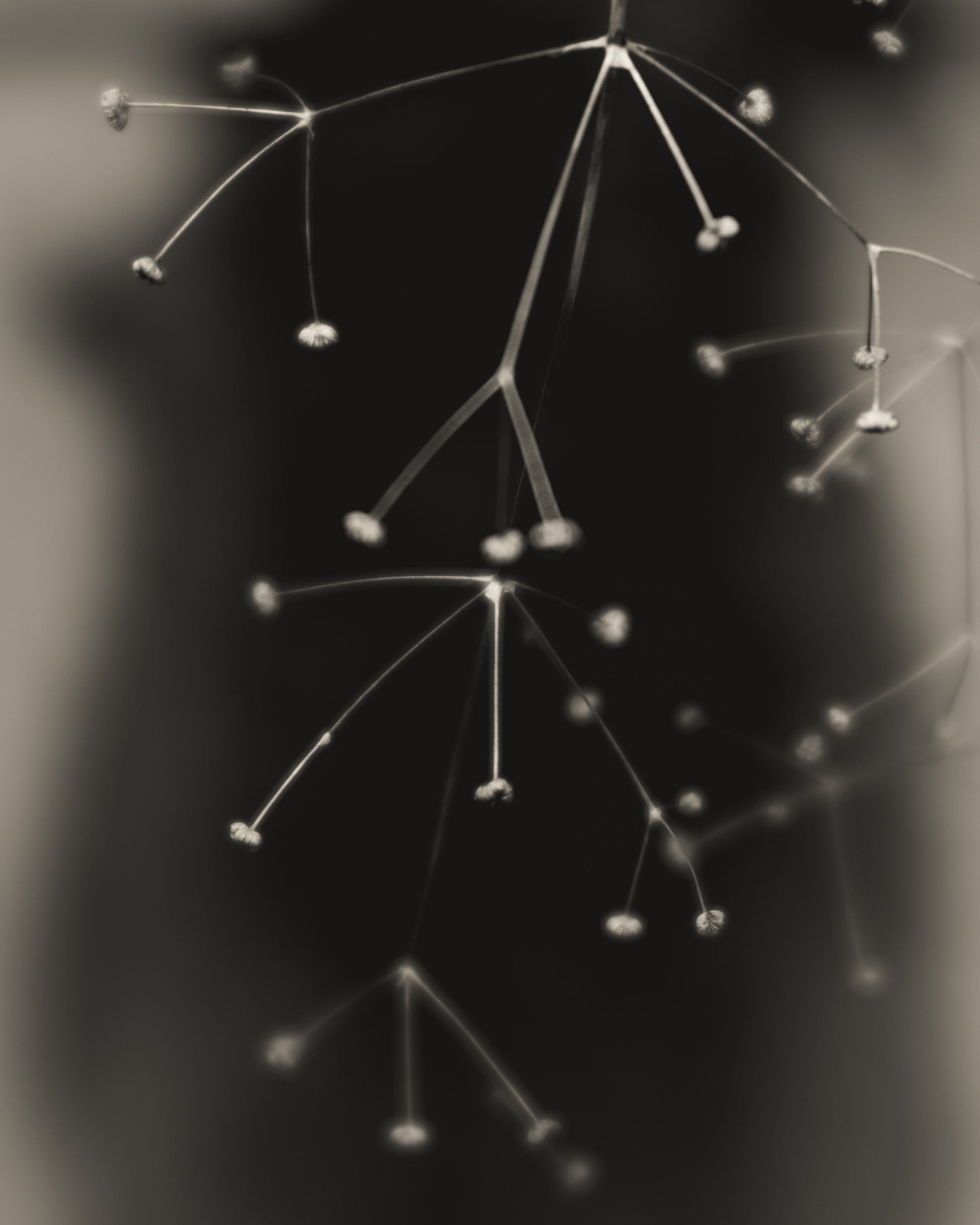 Temporal Suspension.jpg