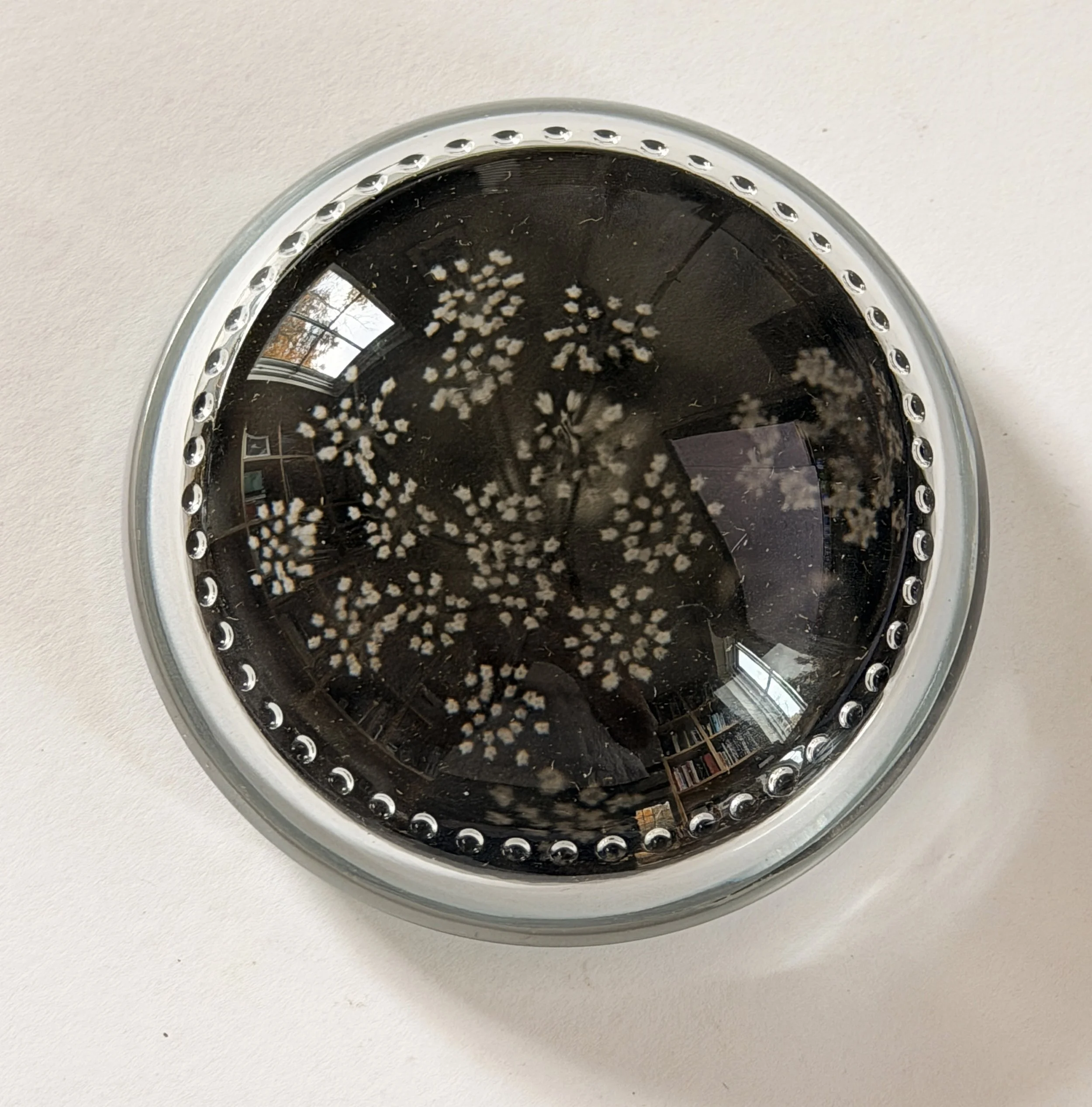 queen anne lace paperweight.JPG