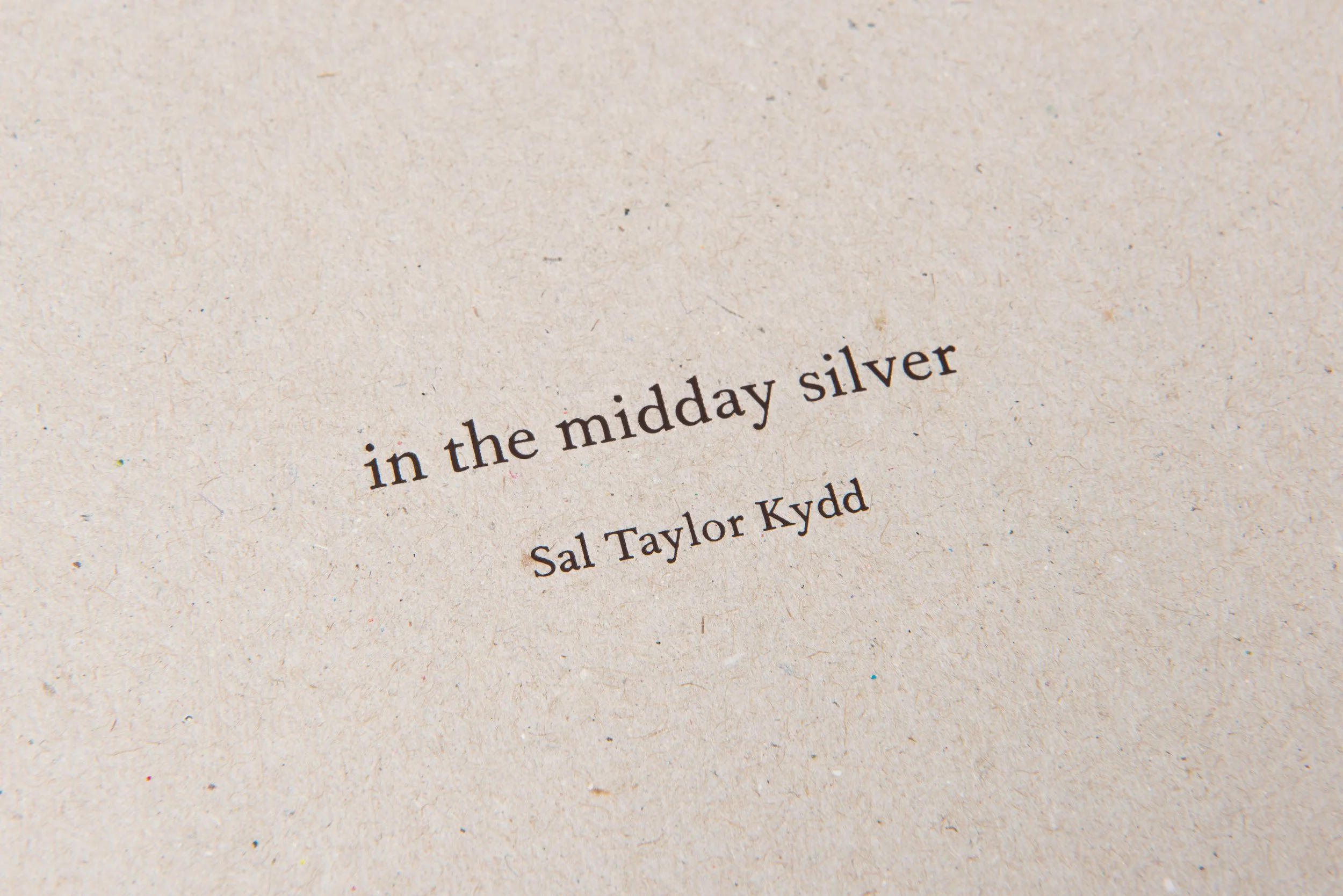 in-the-midday-silver-3.jpeg