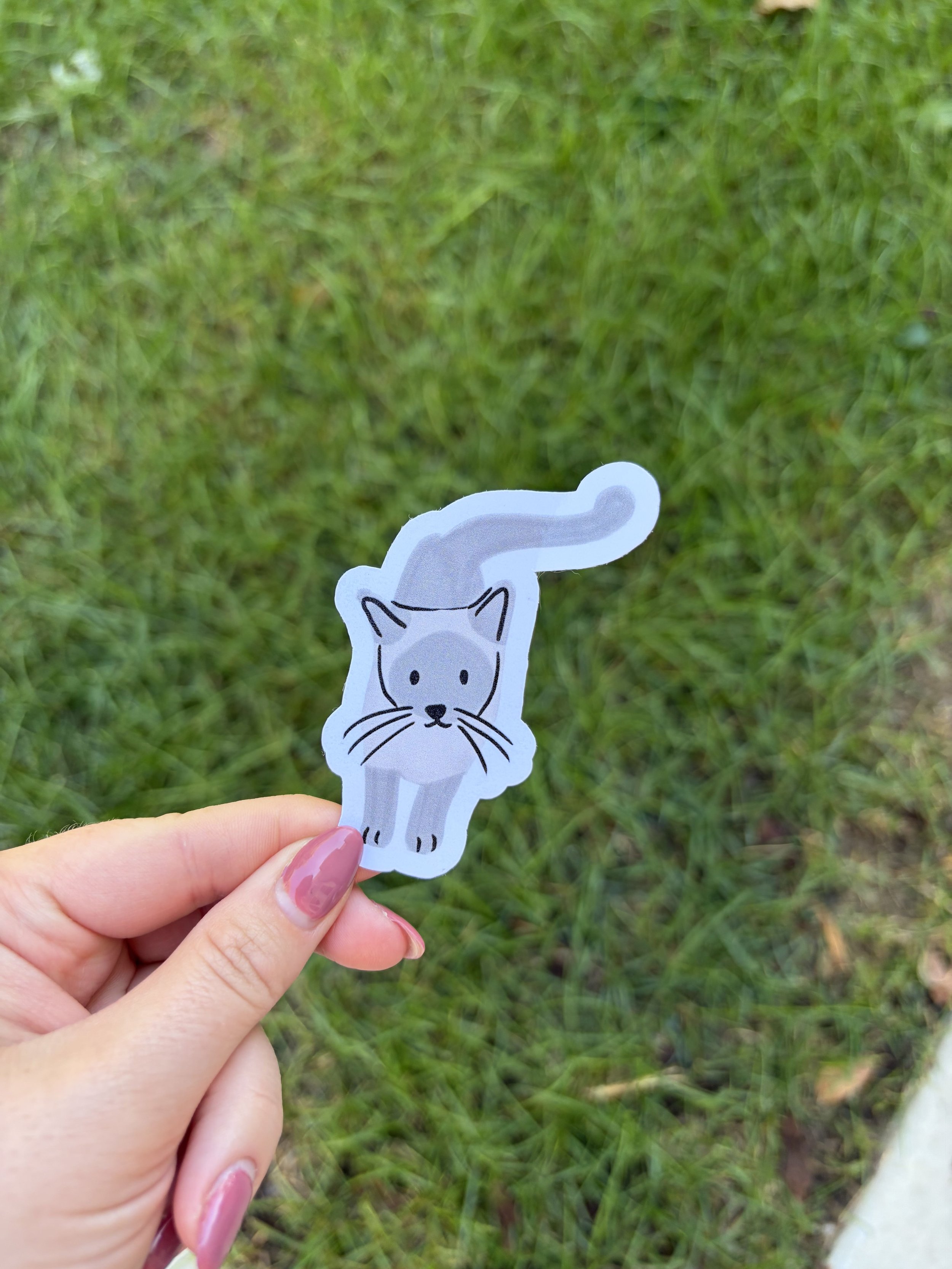 gray_cat.jpg