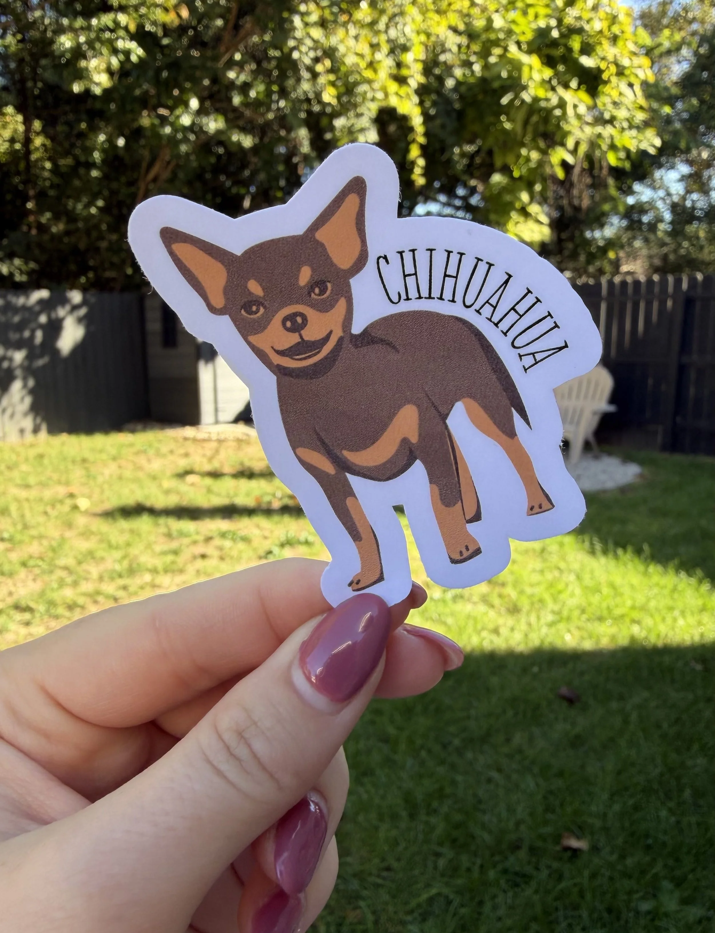 chihuahua.jpg