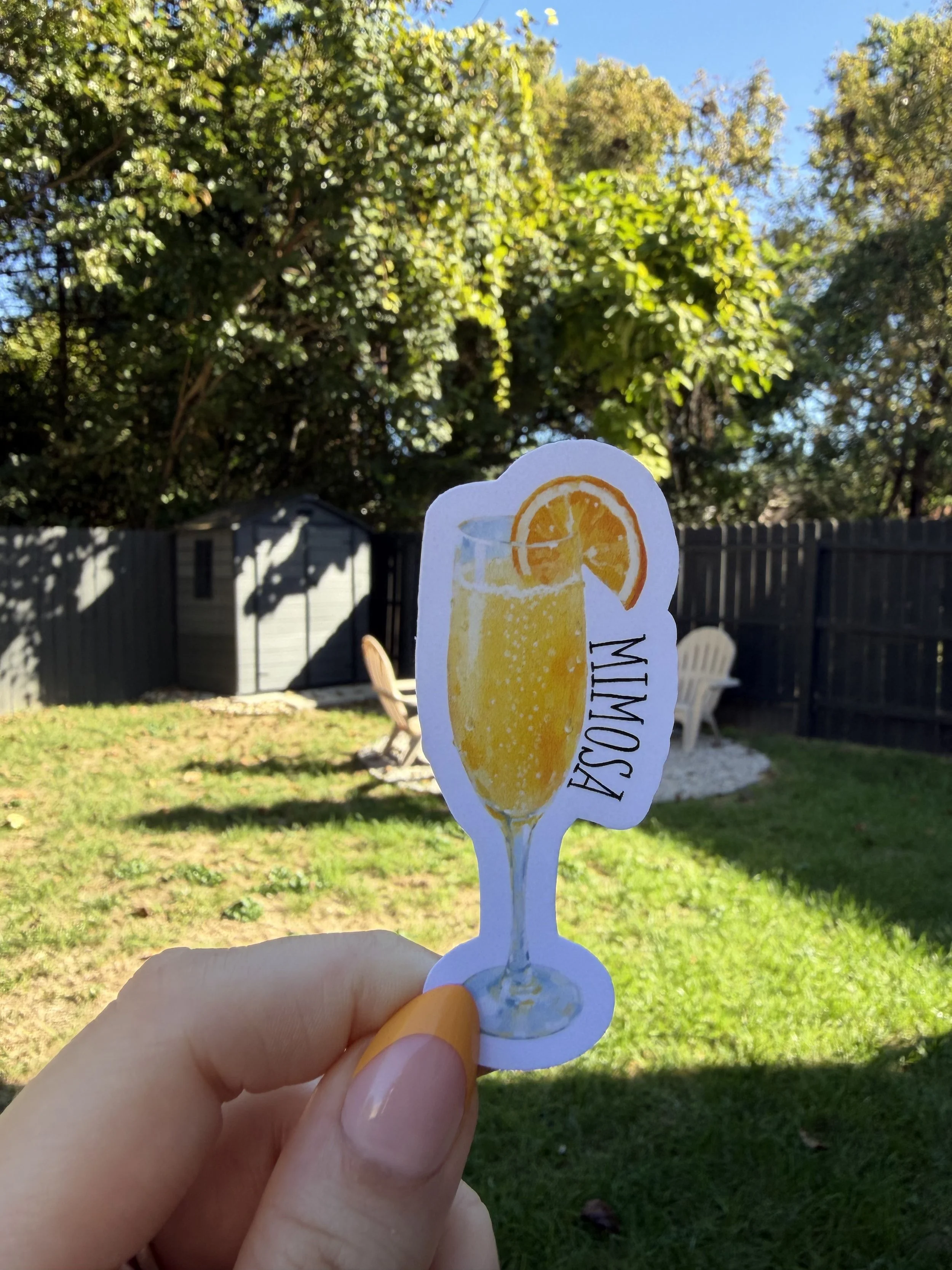 mimosa.jpg
