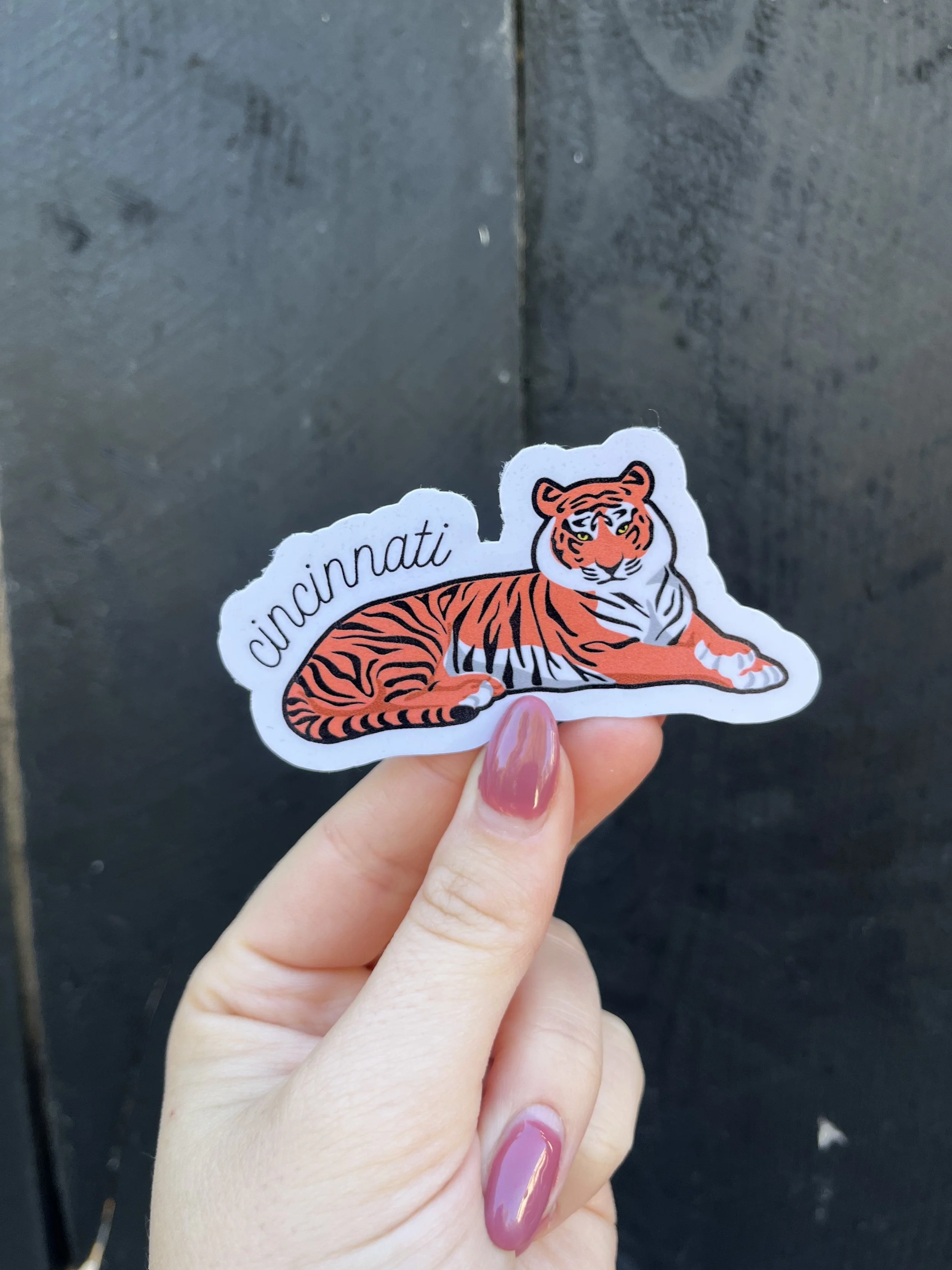bengal__cincinnati_.jpg