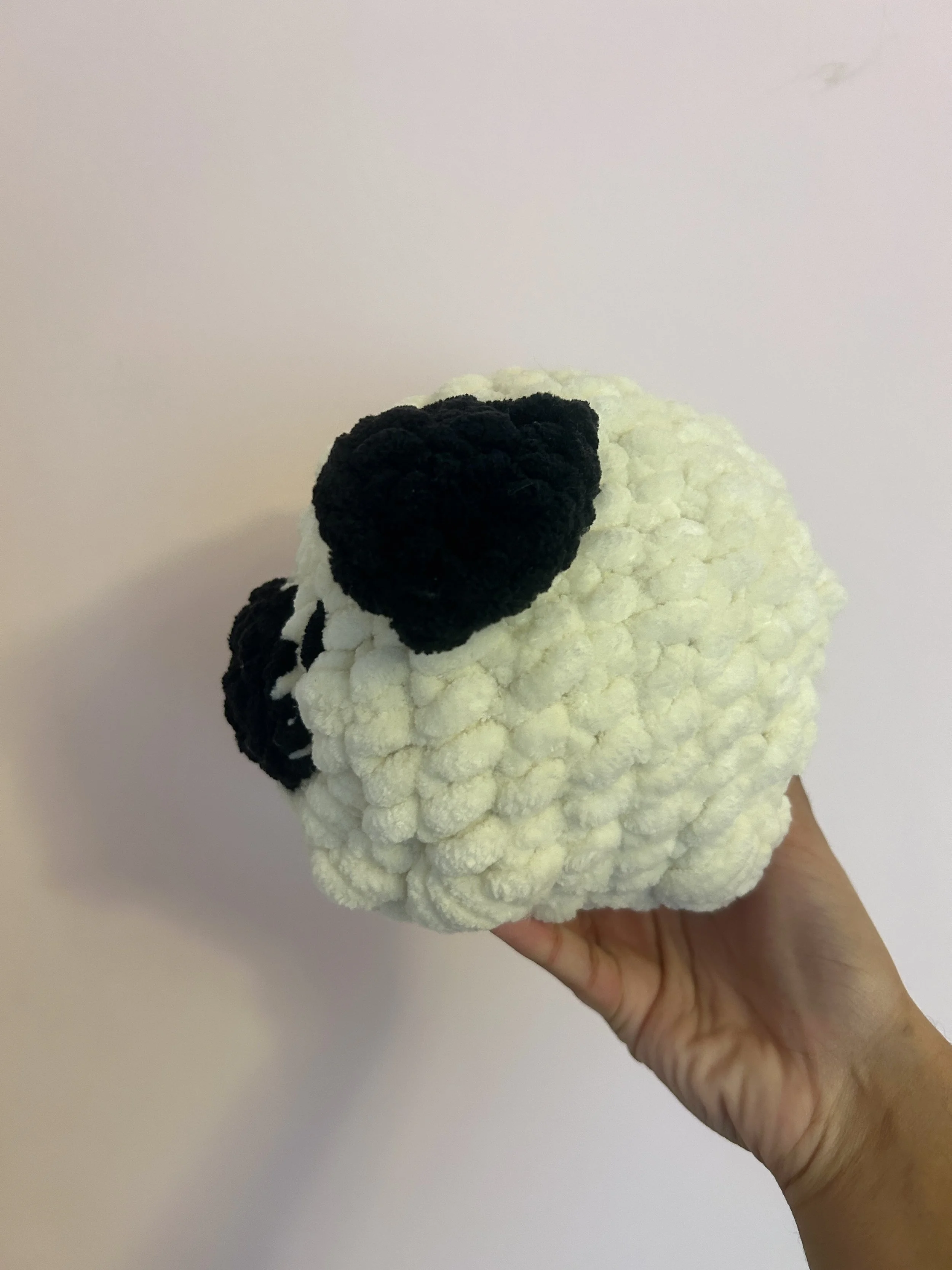 Pug side  (1).JPG