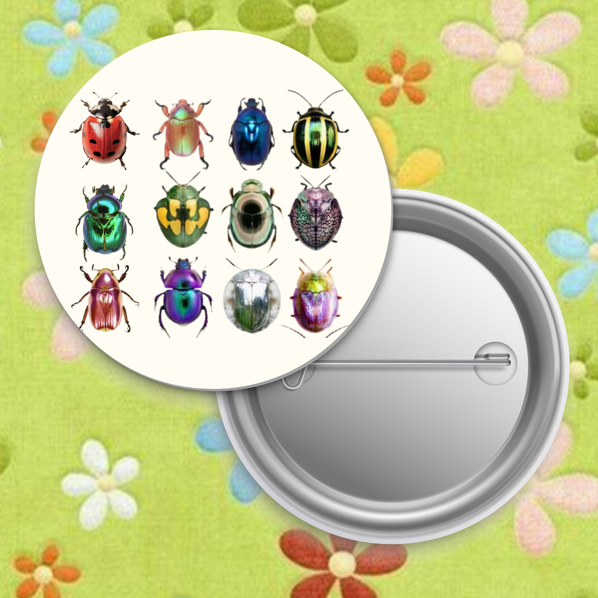 Beetles.png