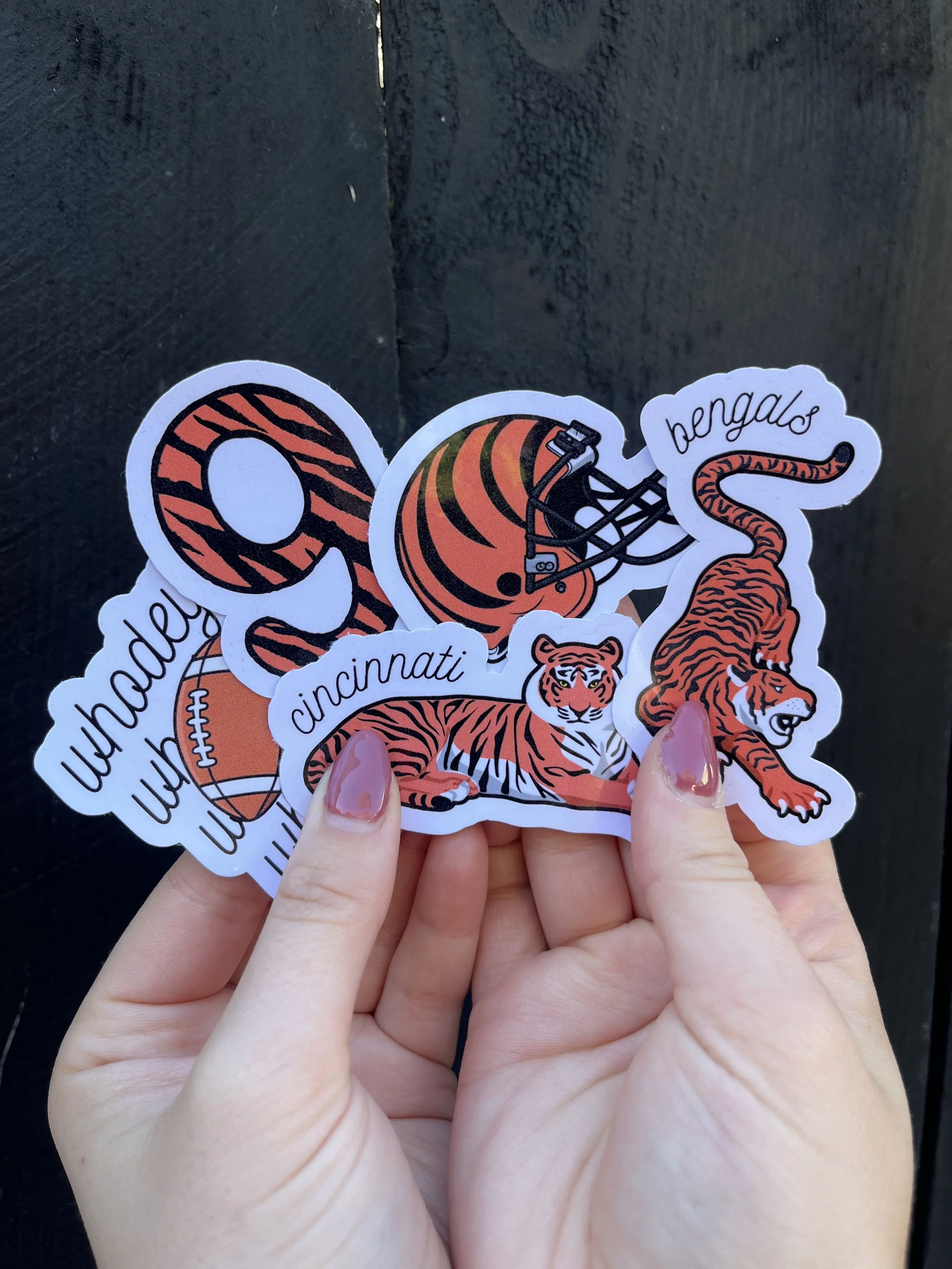 bengals_group (1).jpg