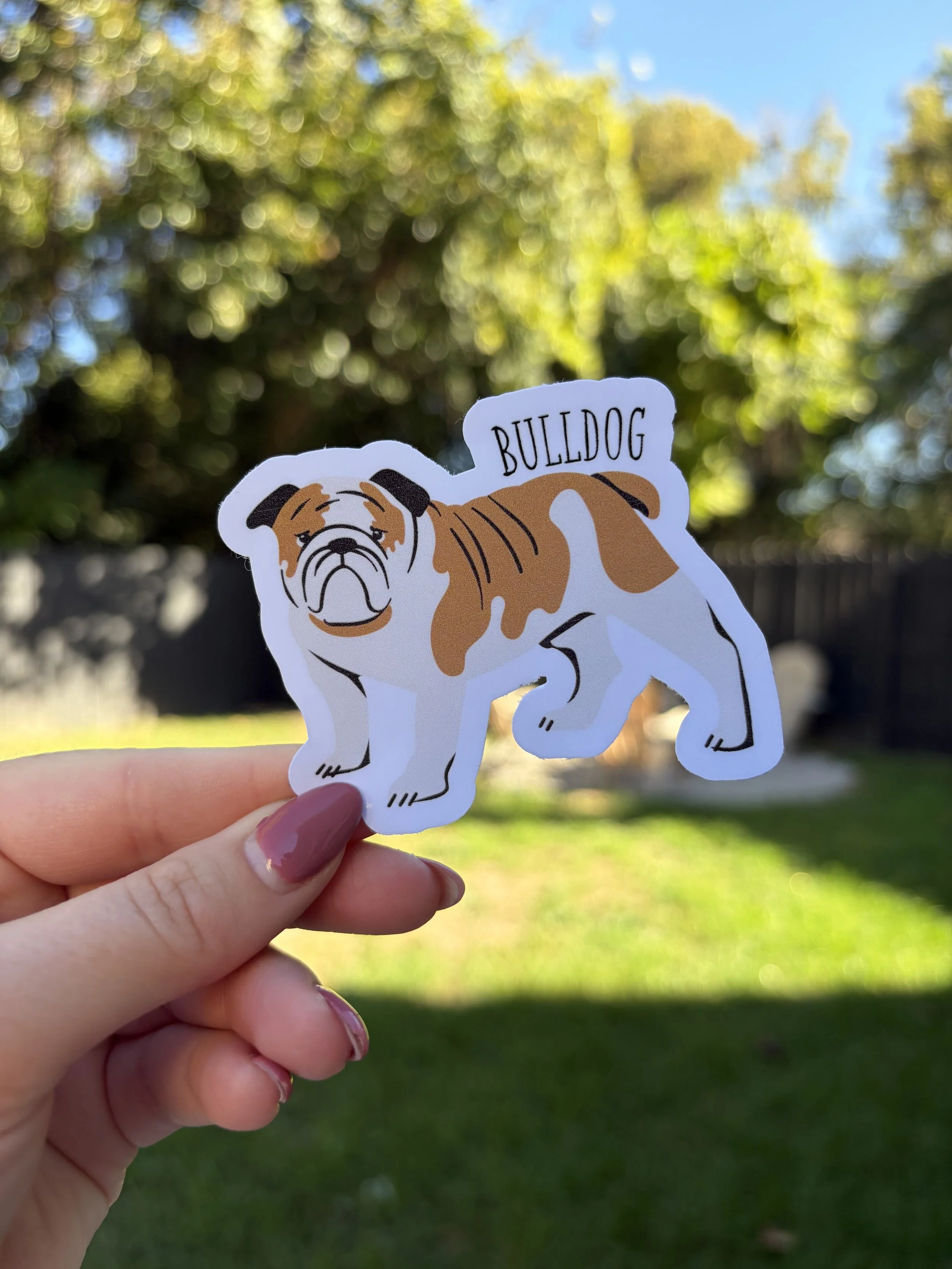 bulldog.jpg