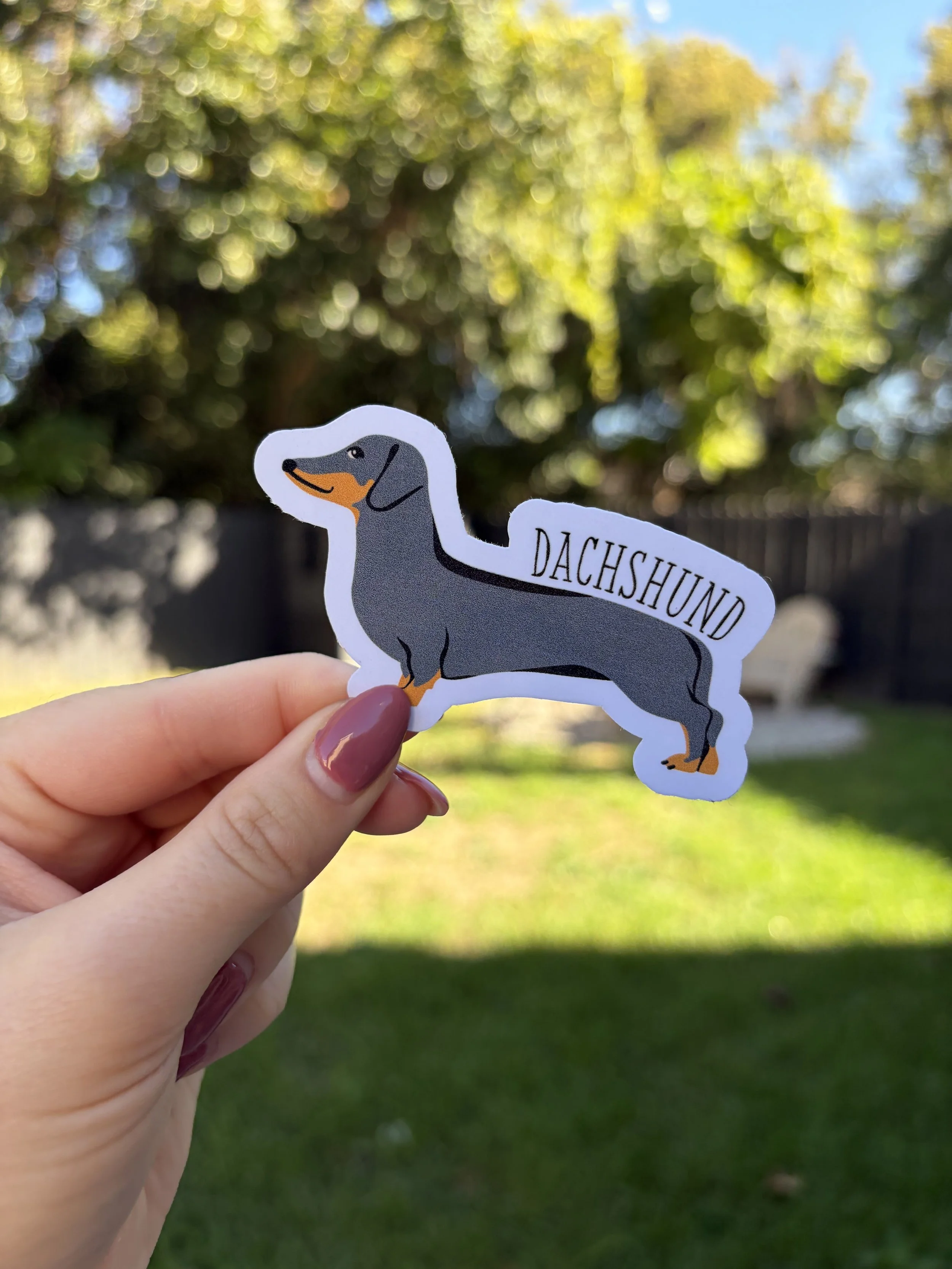 dachshund.jpg