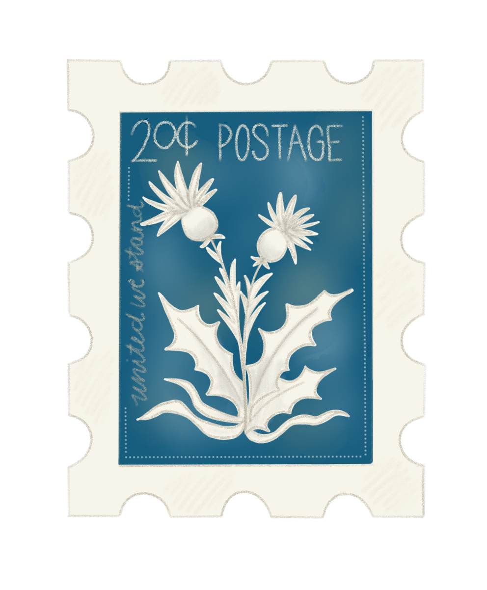 Border 2 deep aqua.png