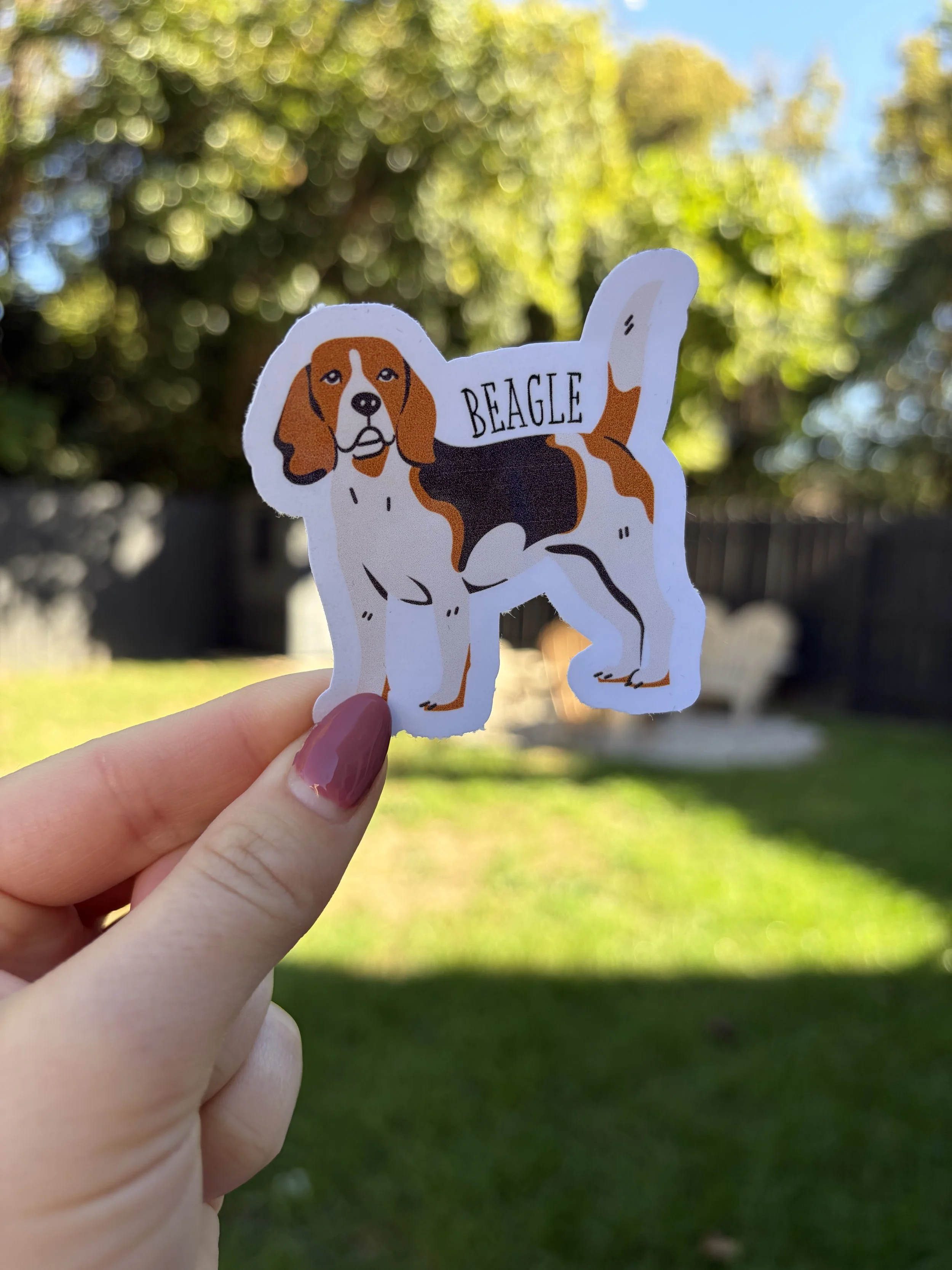 beagle.jpg