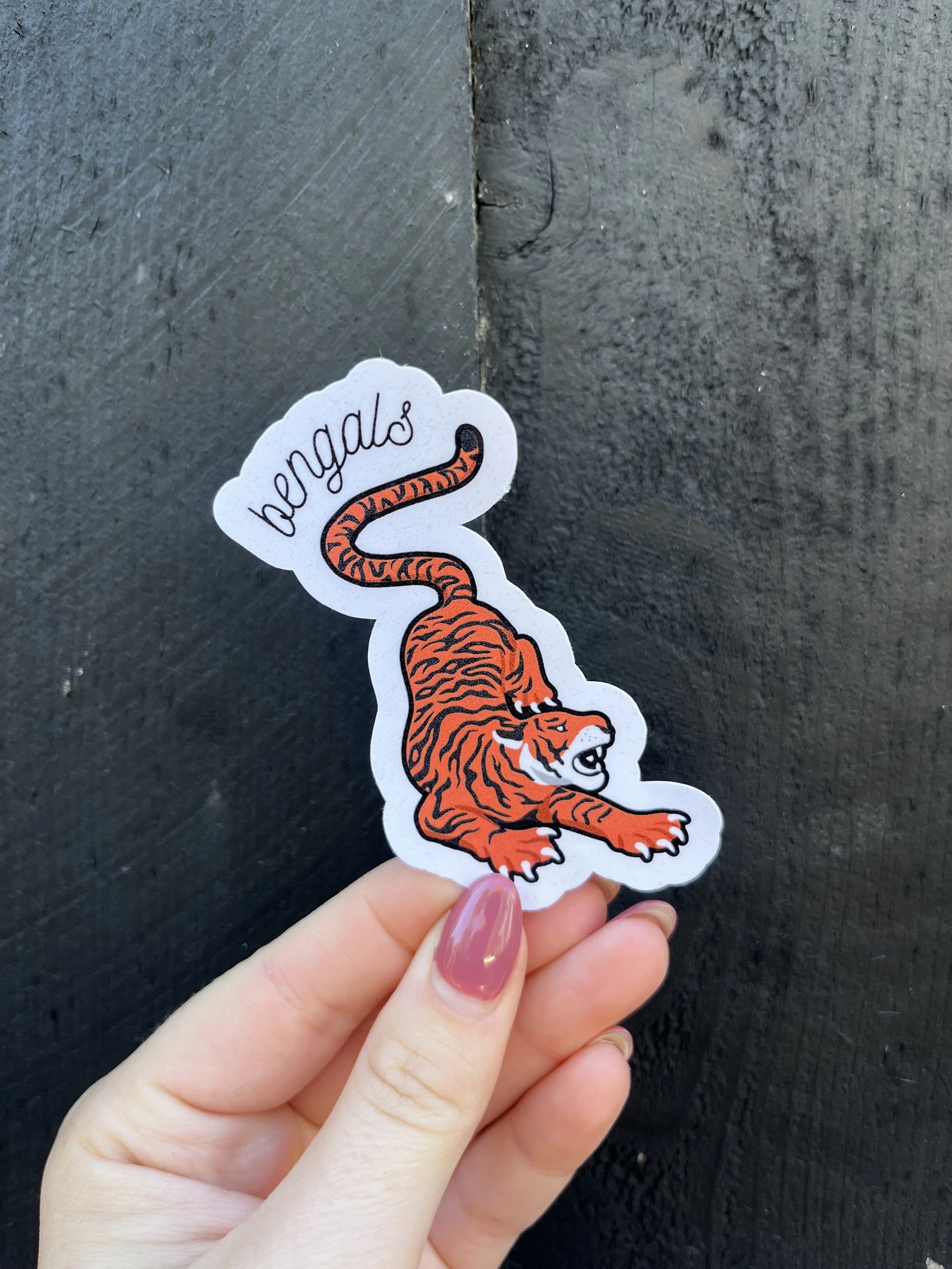 Bengal__bengals_.jpg