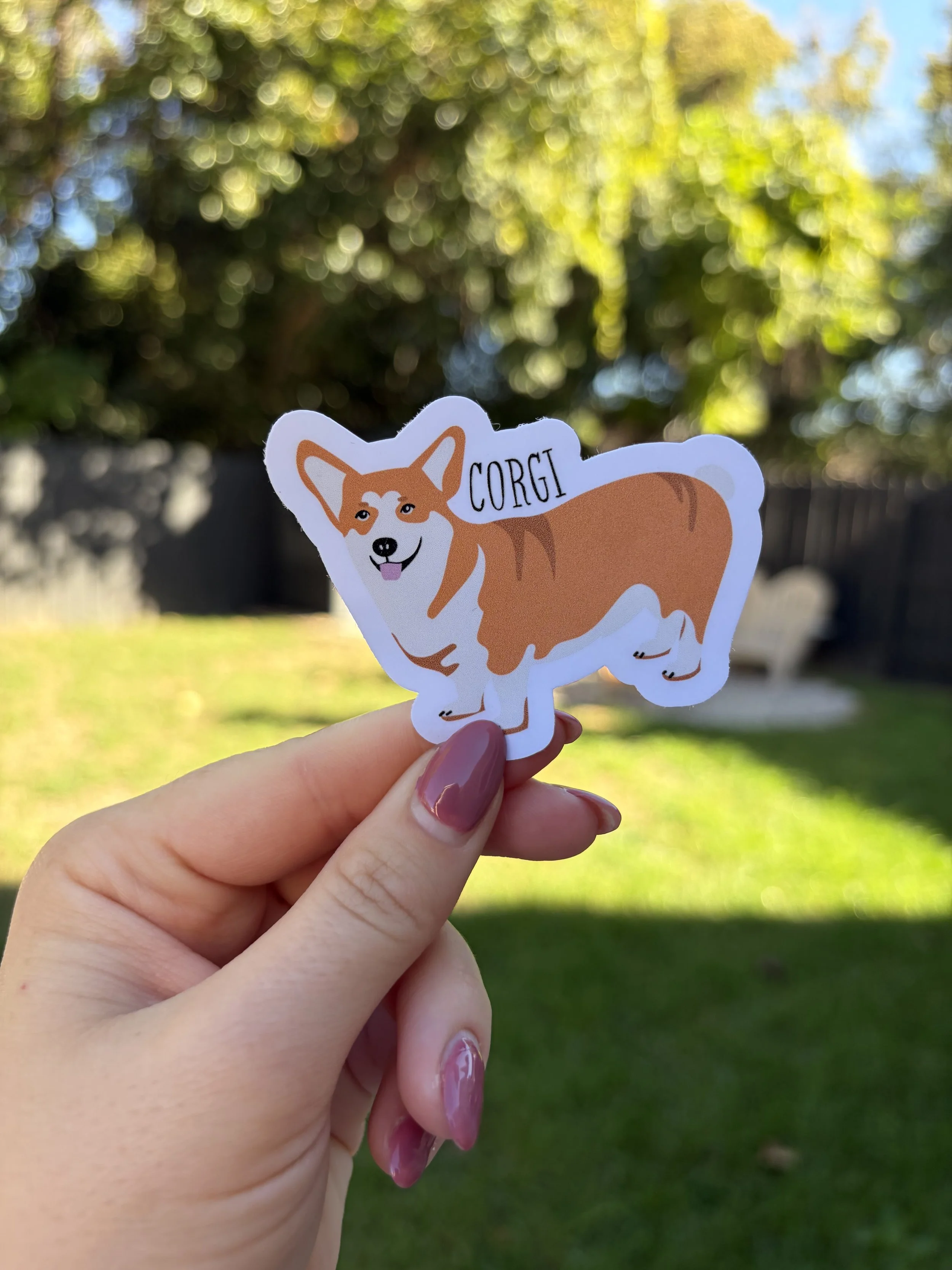 corgi.jpg