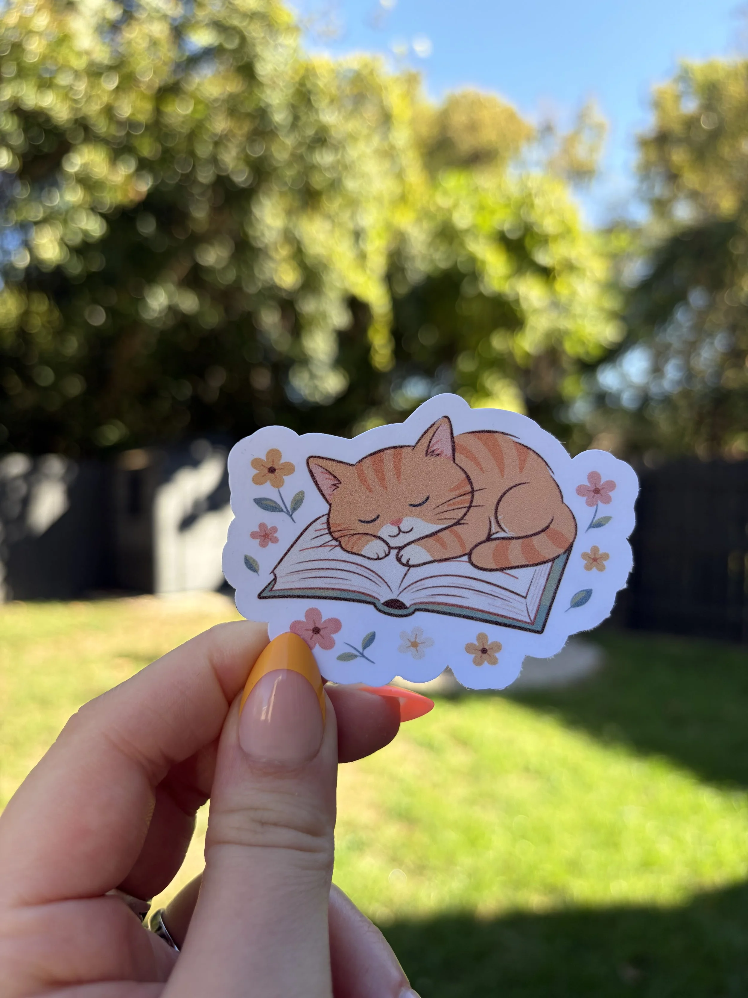 cat_nap_book.jpg