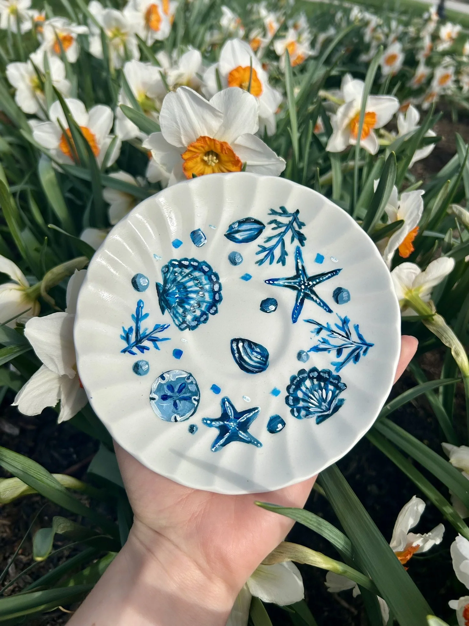 Decor costal plate.JPEG