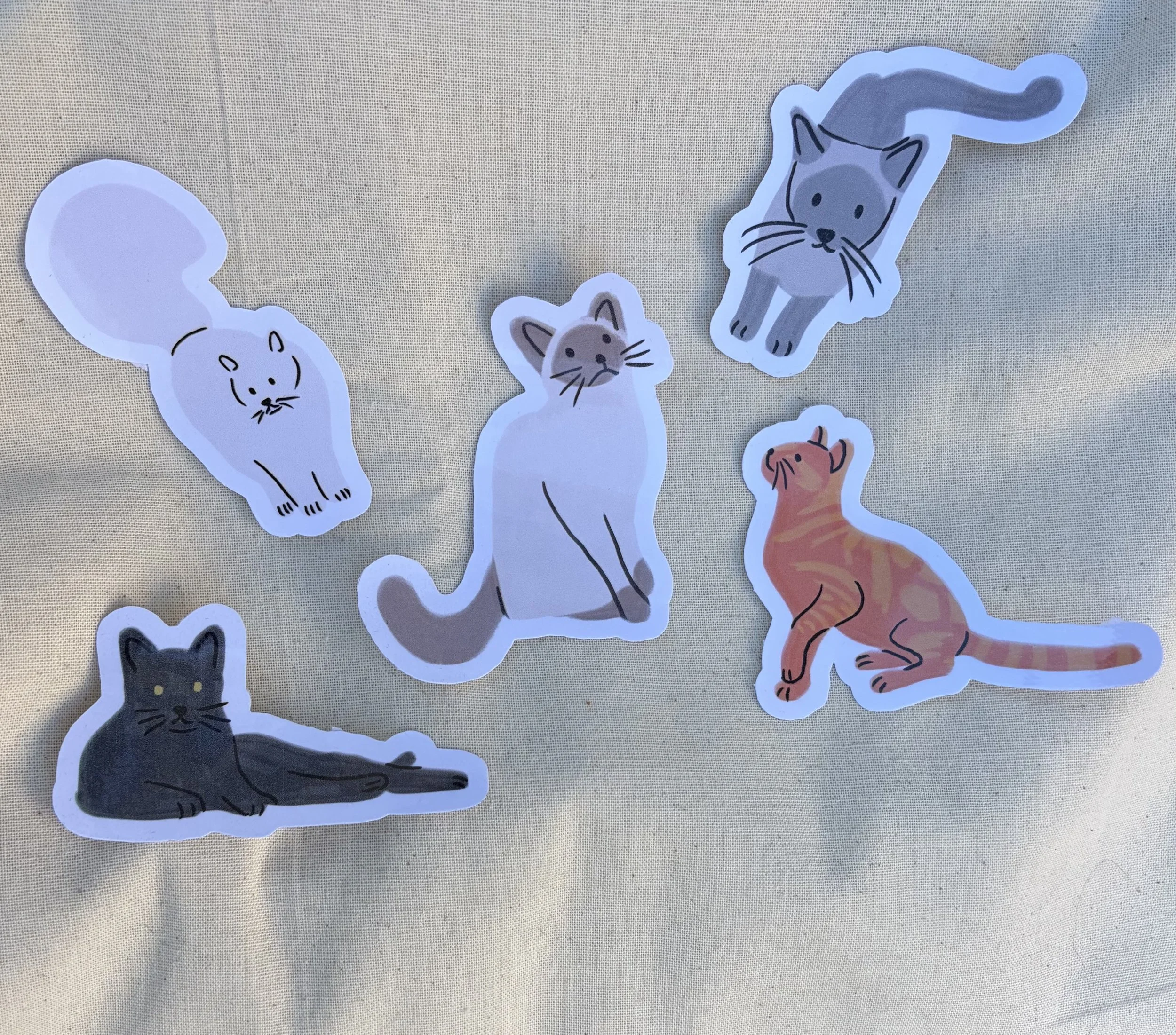 cat_group.jpg
