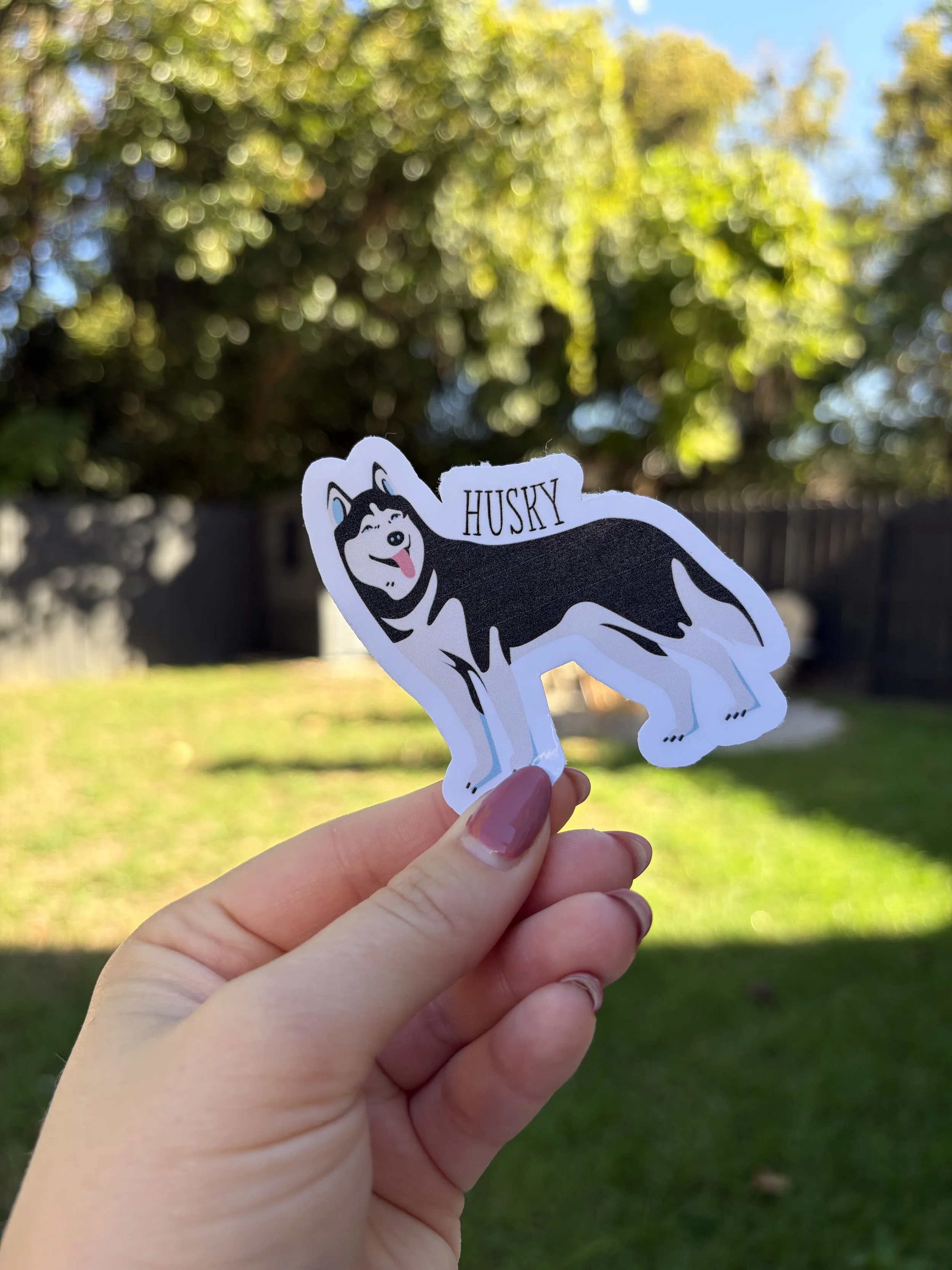 husky.jpg