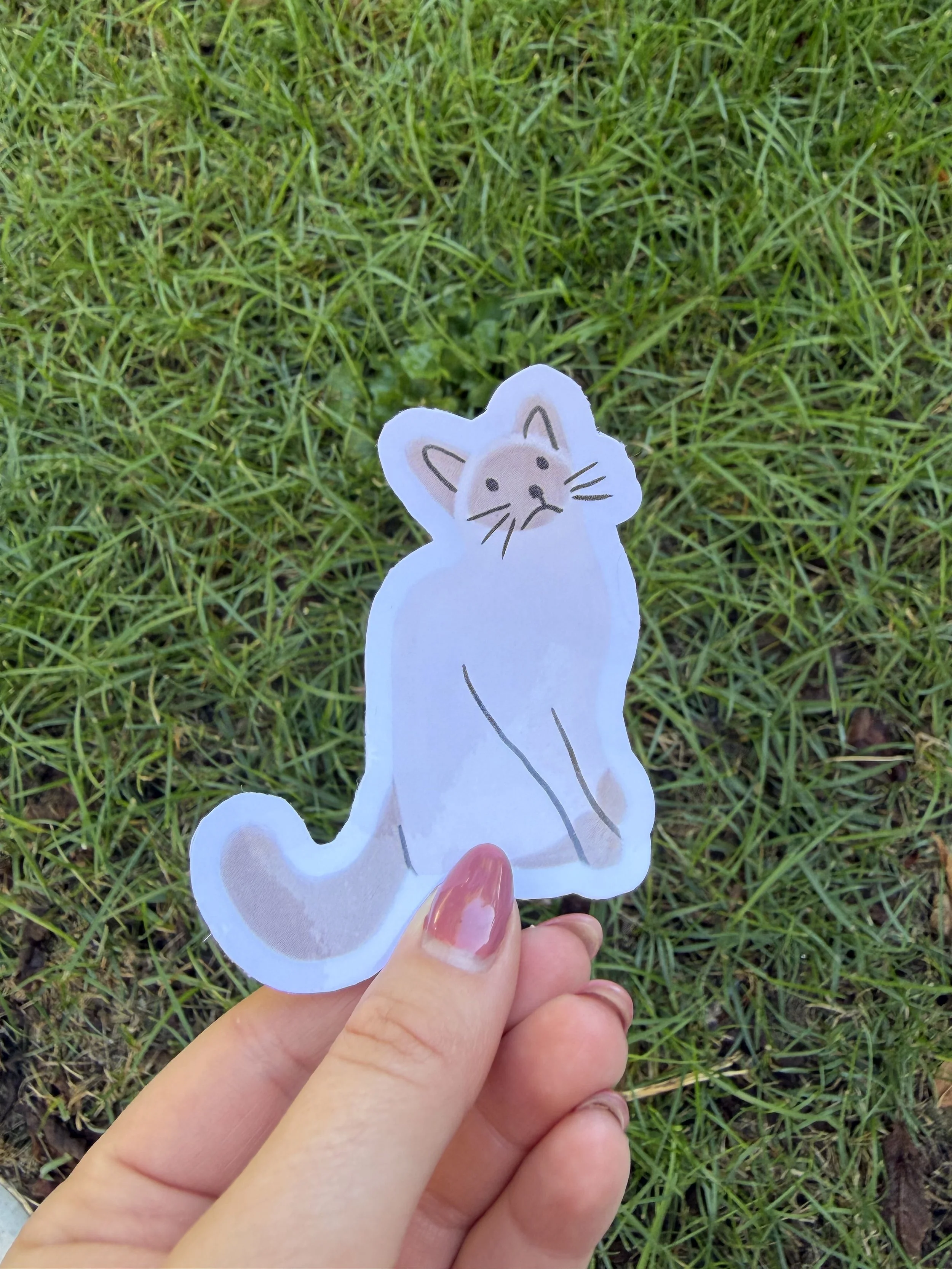 tan_cat.jpg